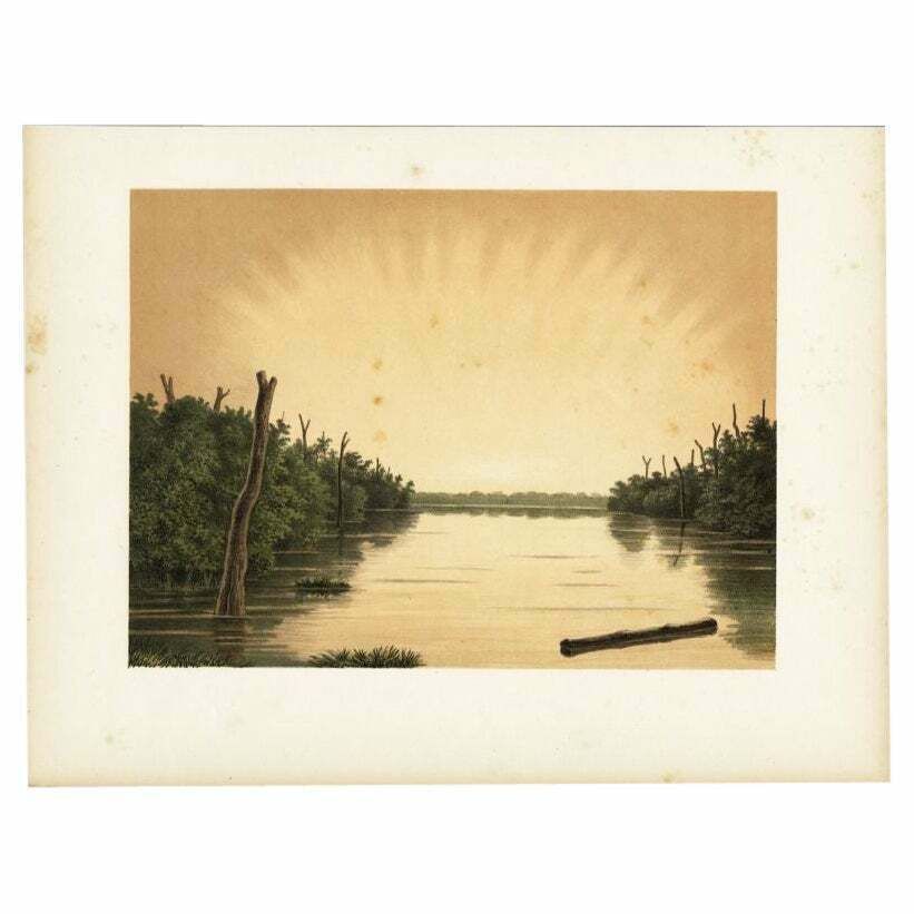 Antique Print Of The Paminger Lakes By Perelaer, 1888