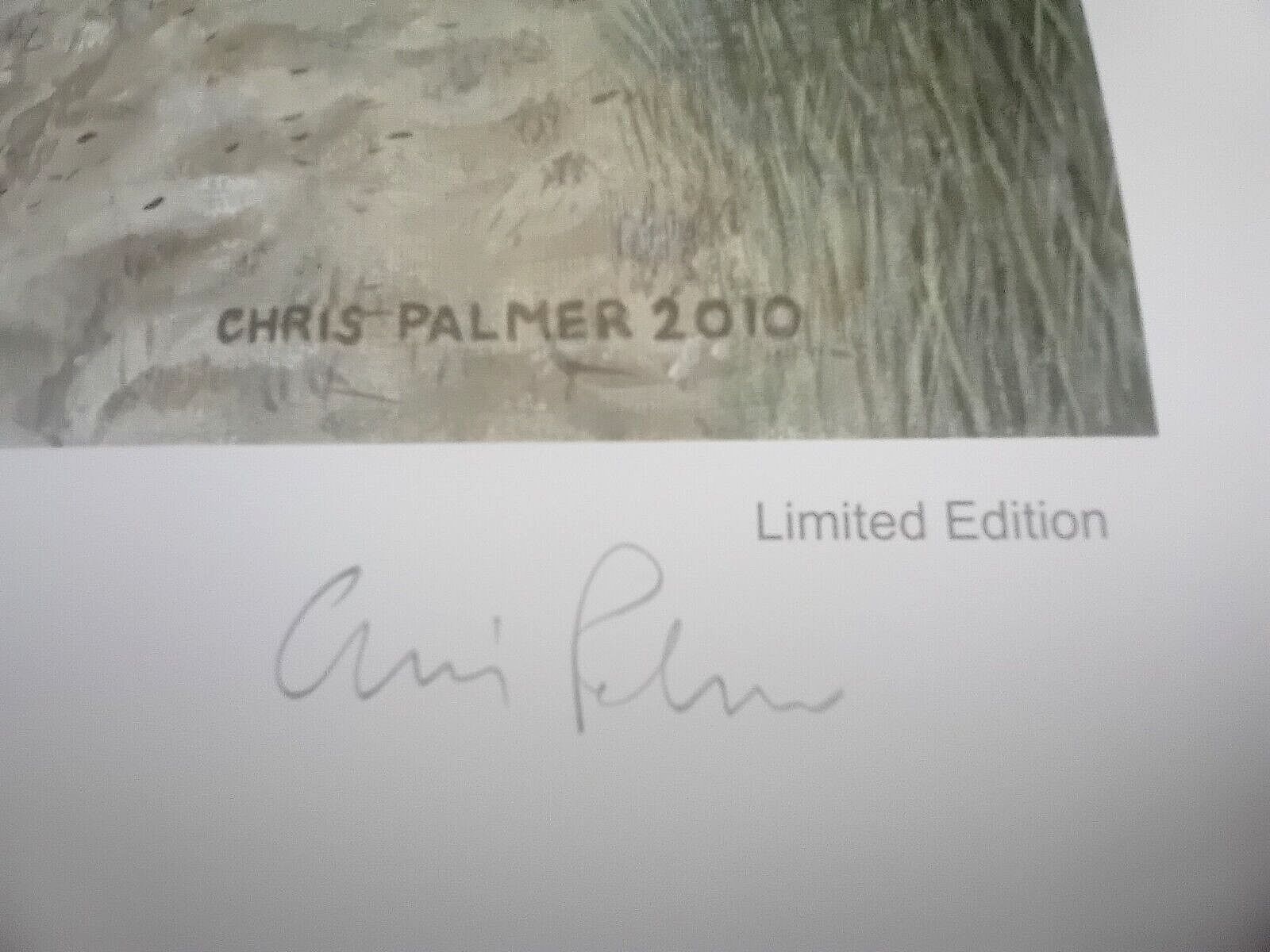 "The Dukes" Helmand Province ,Afghanistan. 2009/10 .Signed Print By Chris Palmer photo 50.0