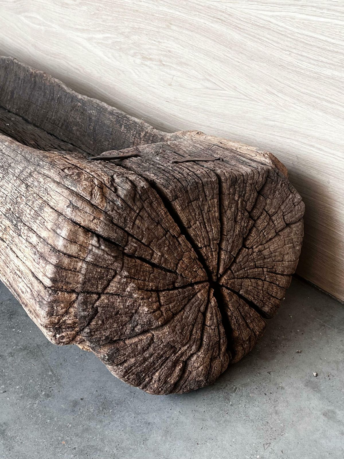 Garden Decor Spanish Antique & Brutalist Hollowed Out Tree Trunk Wooden Planter, 1700 photo