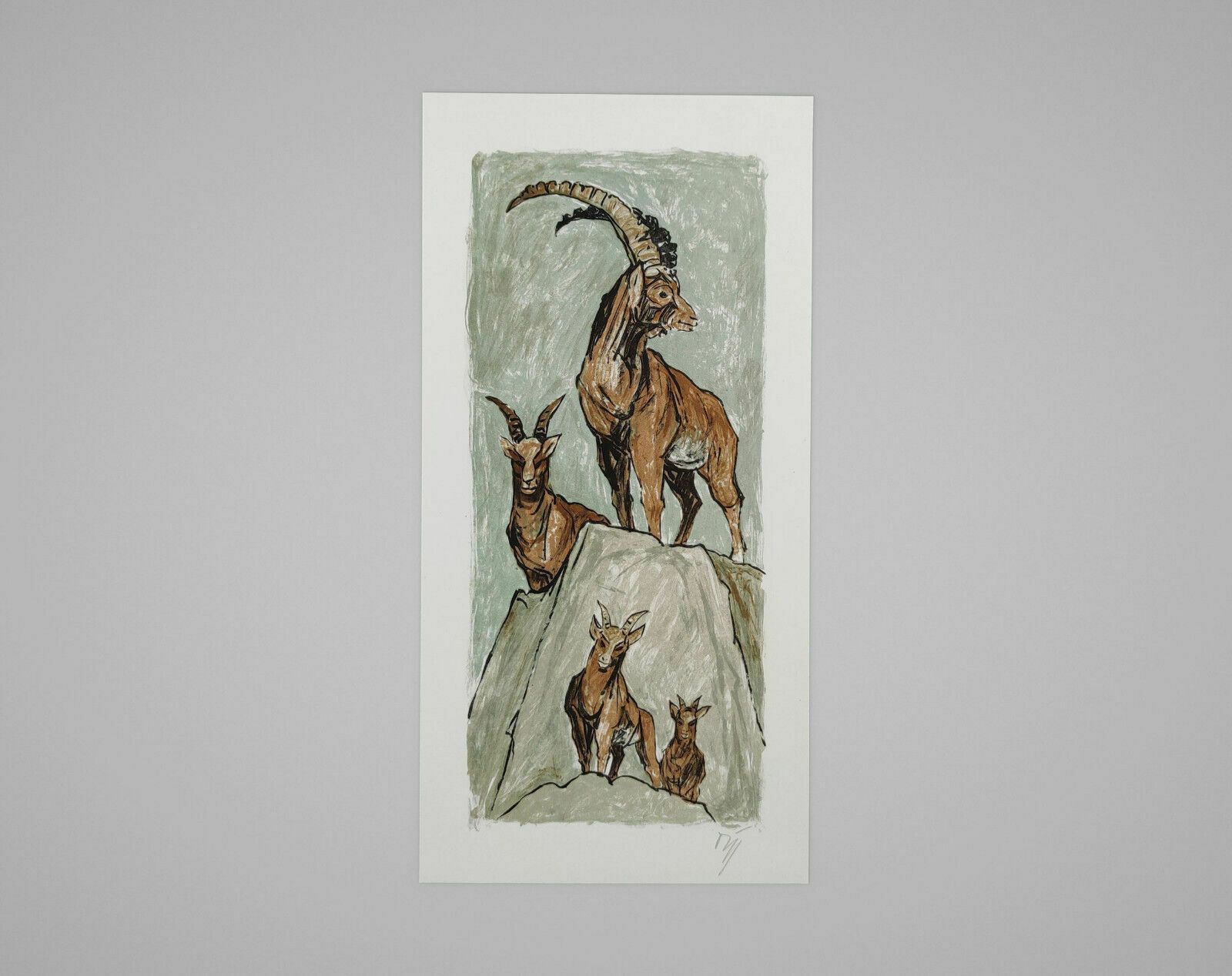 A.W. Diggelmann – Alpine Ibex Family Lithograph Print   Signed 1970s Vintage