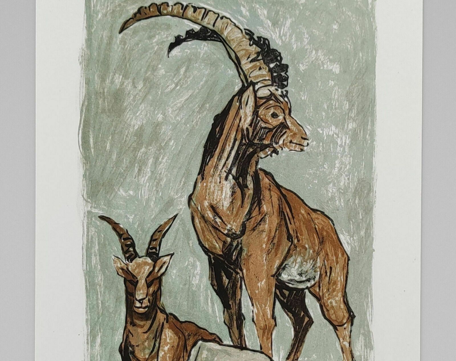 A.W. Diggelmann – Alpine Ibex Family Lithograph Print   Signed 1970s Vintage photo furniture