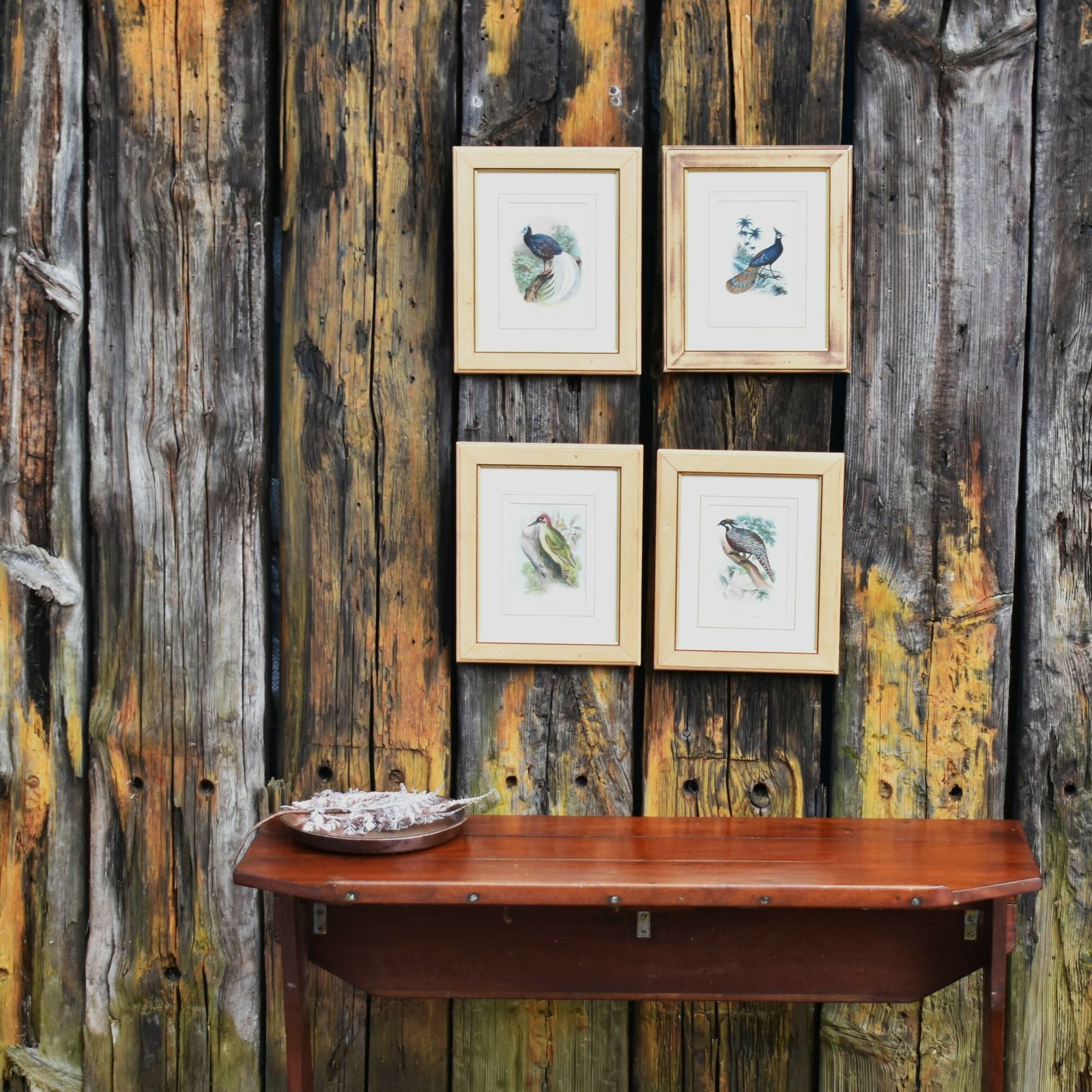 photo furniture Antique Wyman & Sons Pheasant Birds Hand Tinted Book Plate Prints Set Of Four