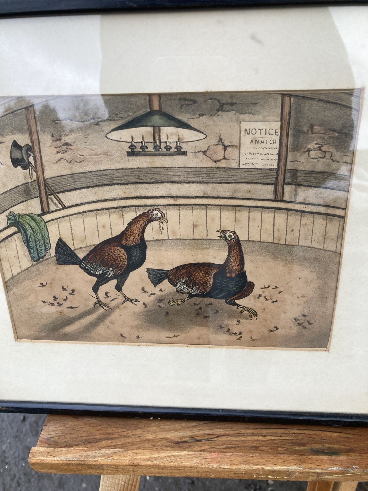 Set Of 3 Coloured Victorian Cock Fighting Bird Prints In Frames photo Art