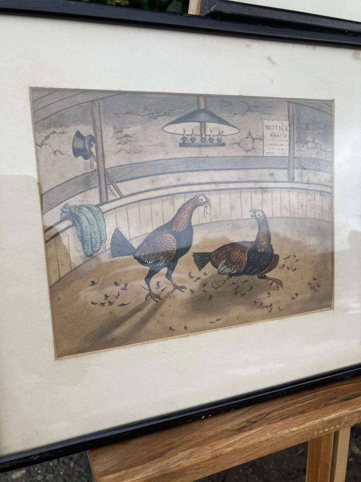 Set Of 3 Coloured Victorian Cock Fighting Bird Prints In Frames photo vintage