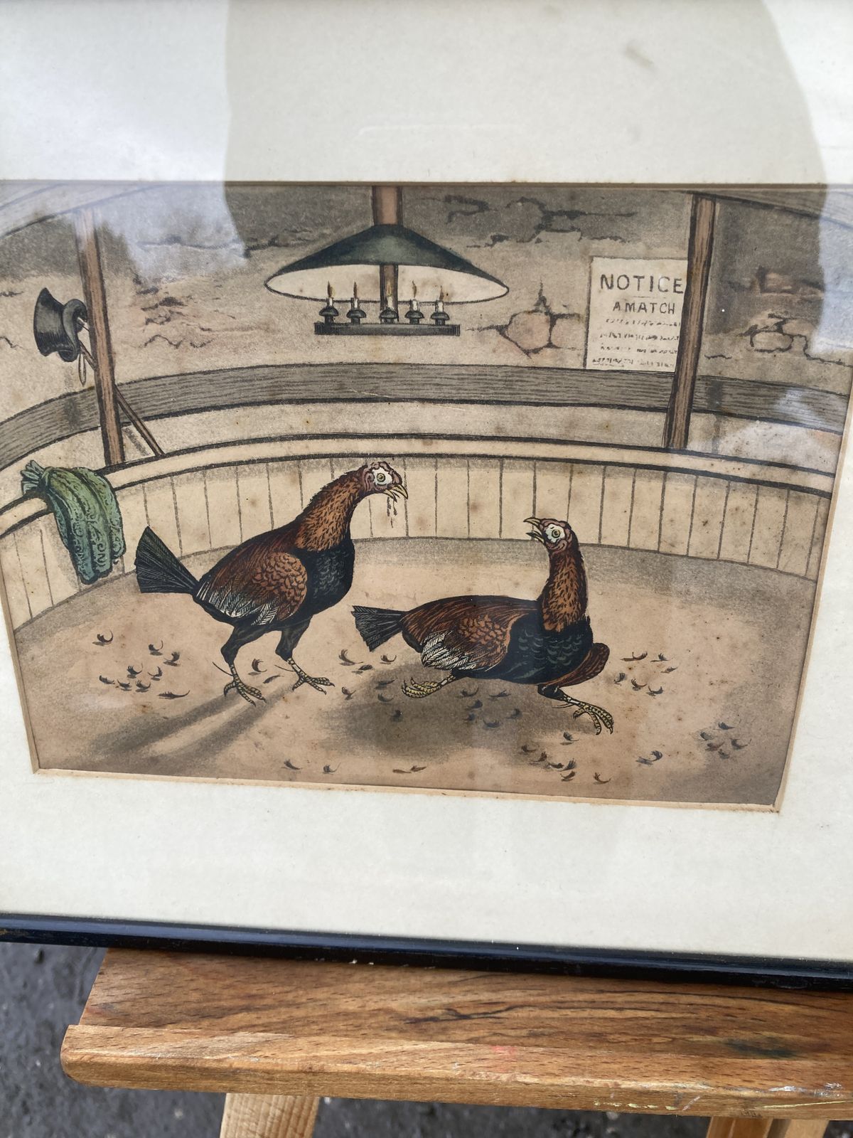 Art Set Of 3 Coloured Victorian Cock Fighting Bird Prints In Frames photo