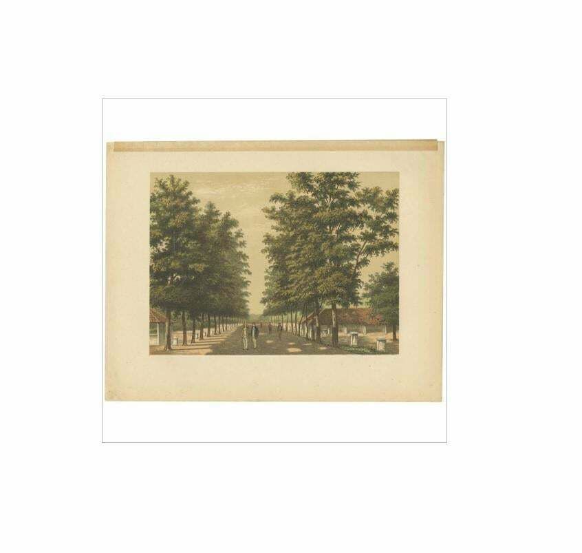 Antique Print Of Avenue Paja Koembah 'Sumatra' By M.T.H. Perelaer, 1888 photo furniture