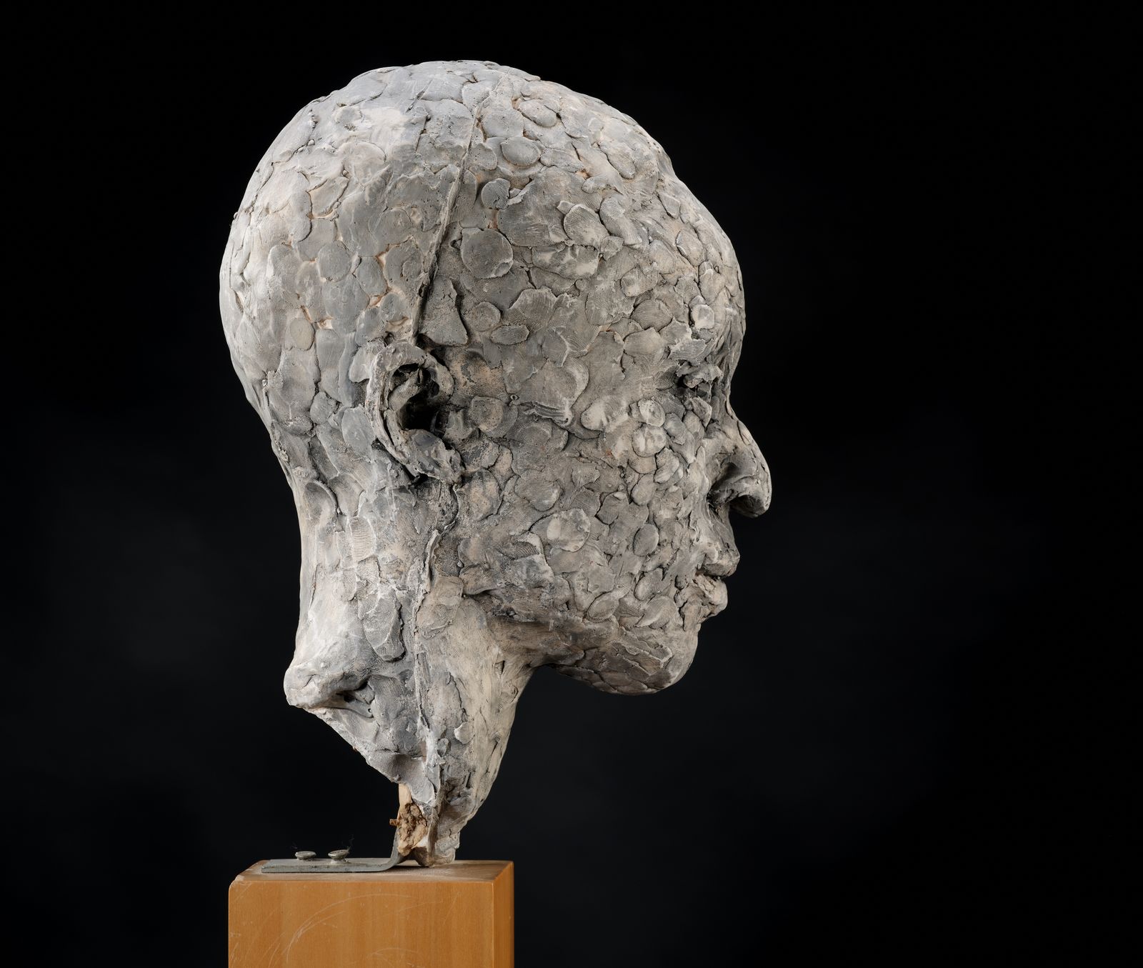 photo for sale Stunning 'Patience Agbabi' Vintage Man Head Sculpture By Bryan Ellery, England Circa 1990's