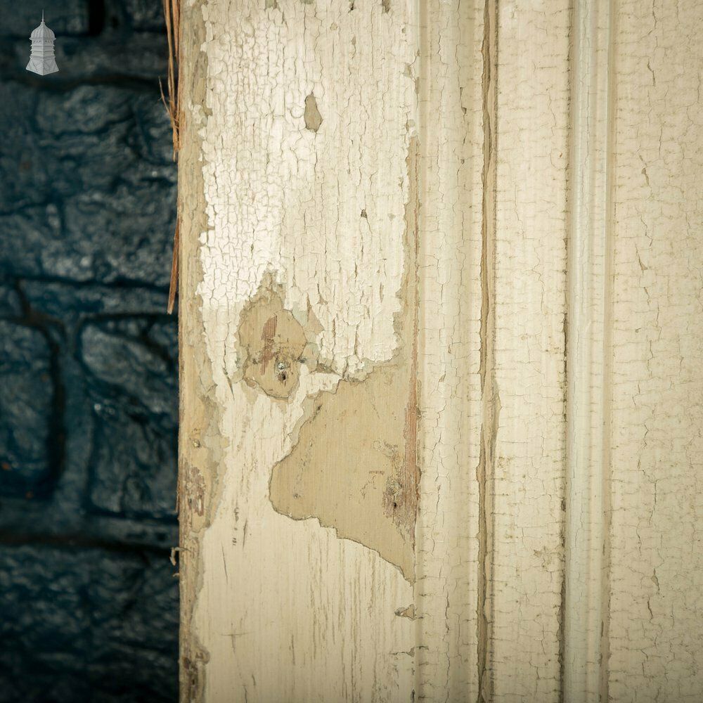 Pine Paneled Door, 6 Moulded Panel White Painted photo vintage