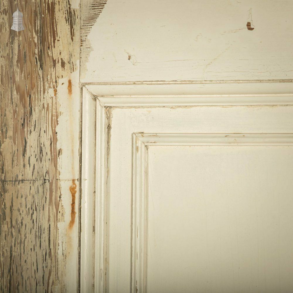 Pine Paneled Door, 6 Moulded Panel White Painted Missing Moulding photo vinterior
