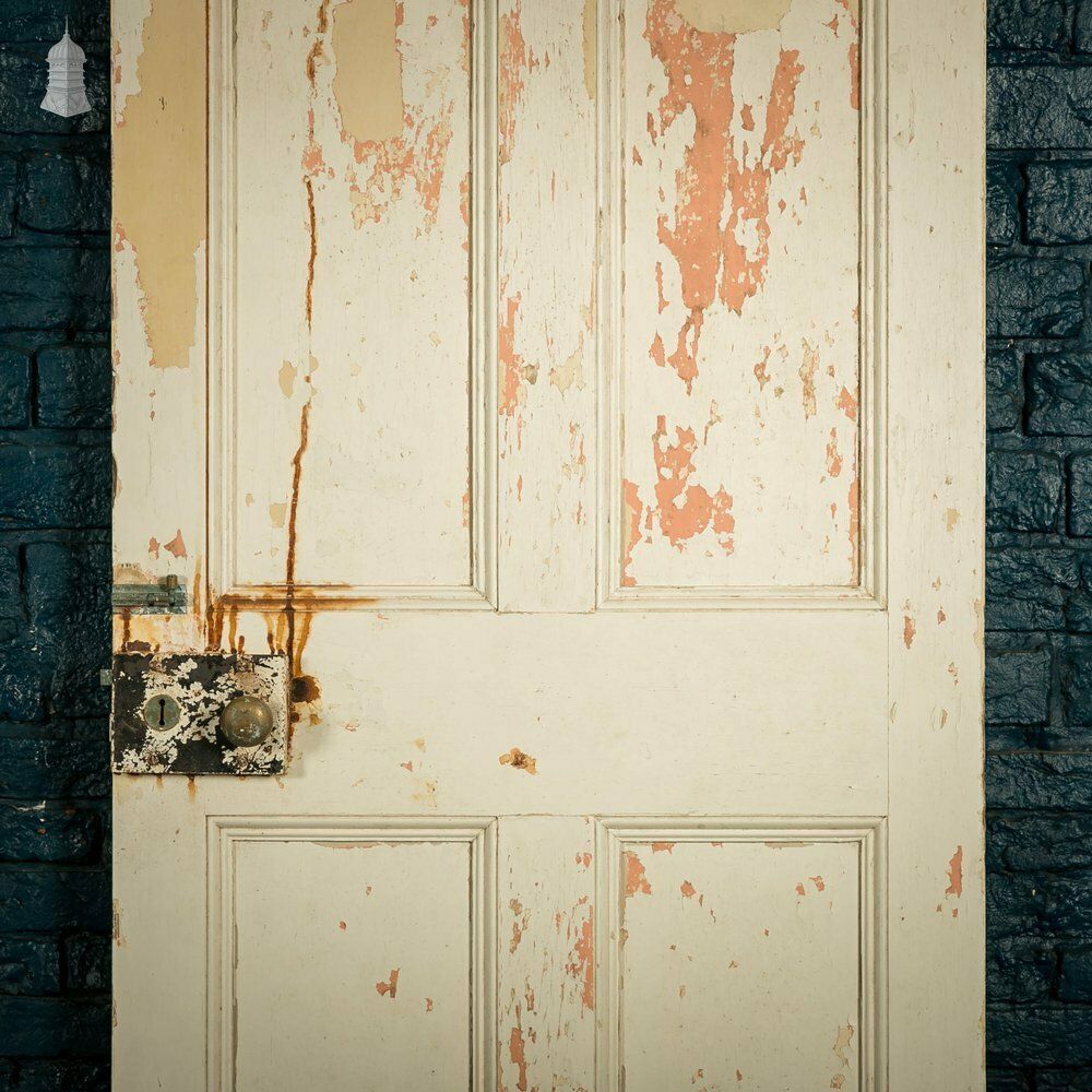 Pine Paneled Door, 6 Moulded Panel White Painted photo for sale