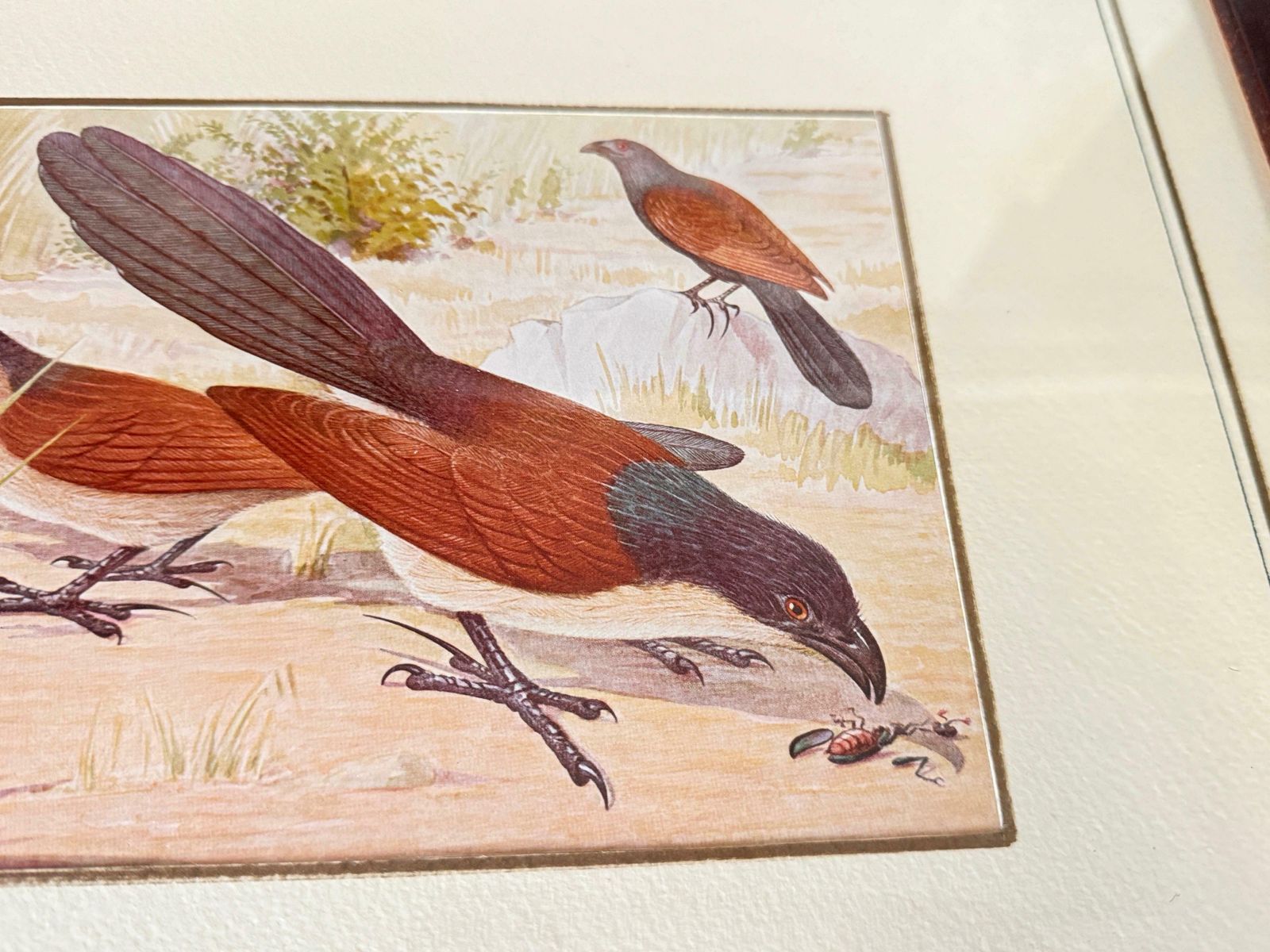 Genuine 20th Century Pair Of Water Color By G Galelli Italy Signed Dated 1938 photo furniture