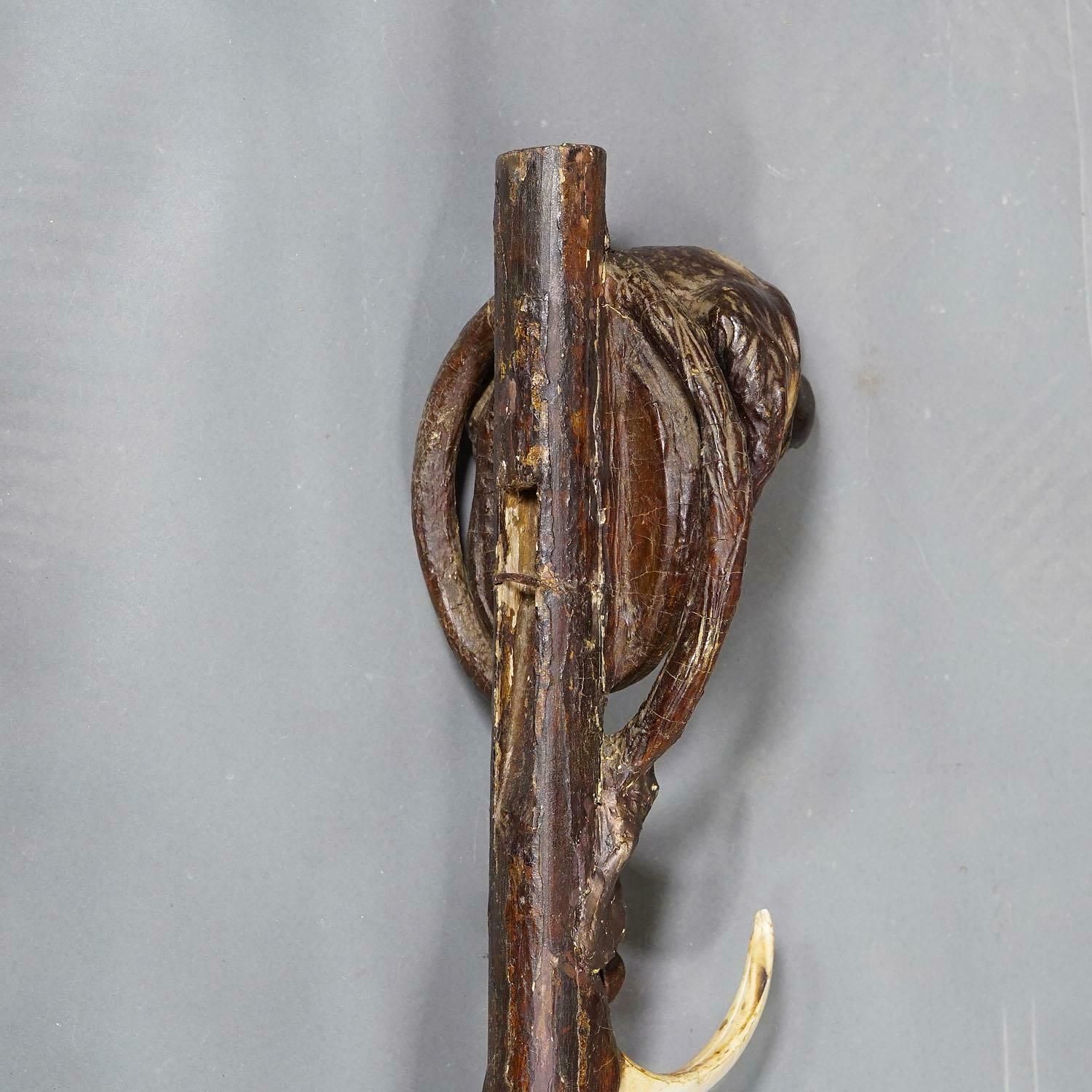 photo buy A Pair Antique Black Forest Gun Holders, Austria Late 19th Century