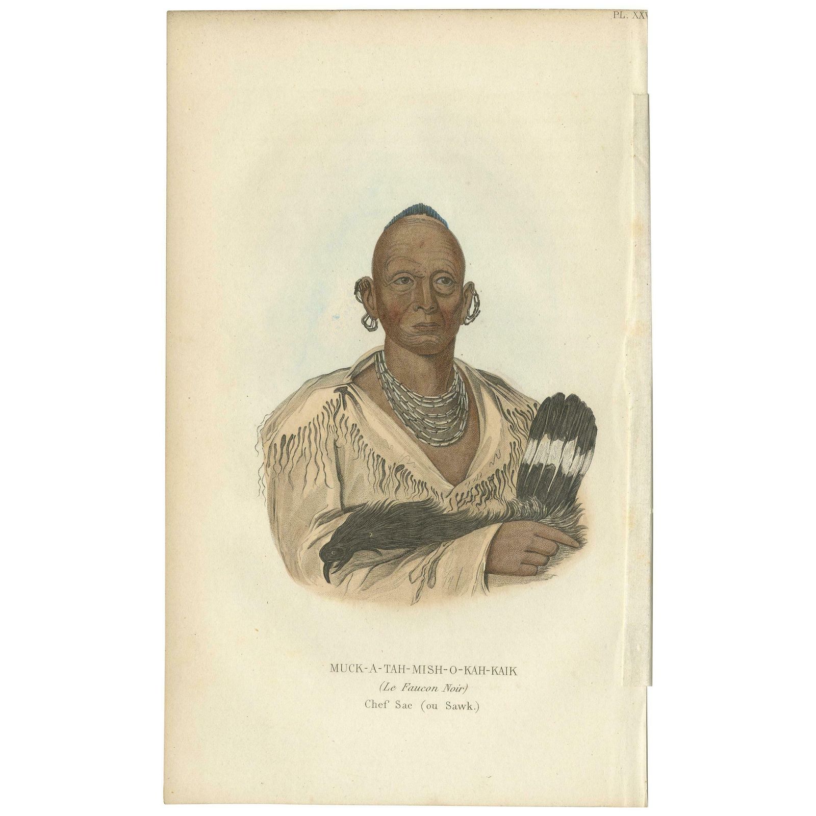 Antique Print Of A Sauk Chief By Prichard, 1843