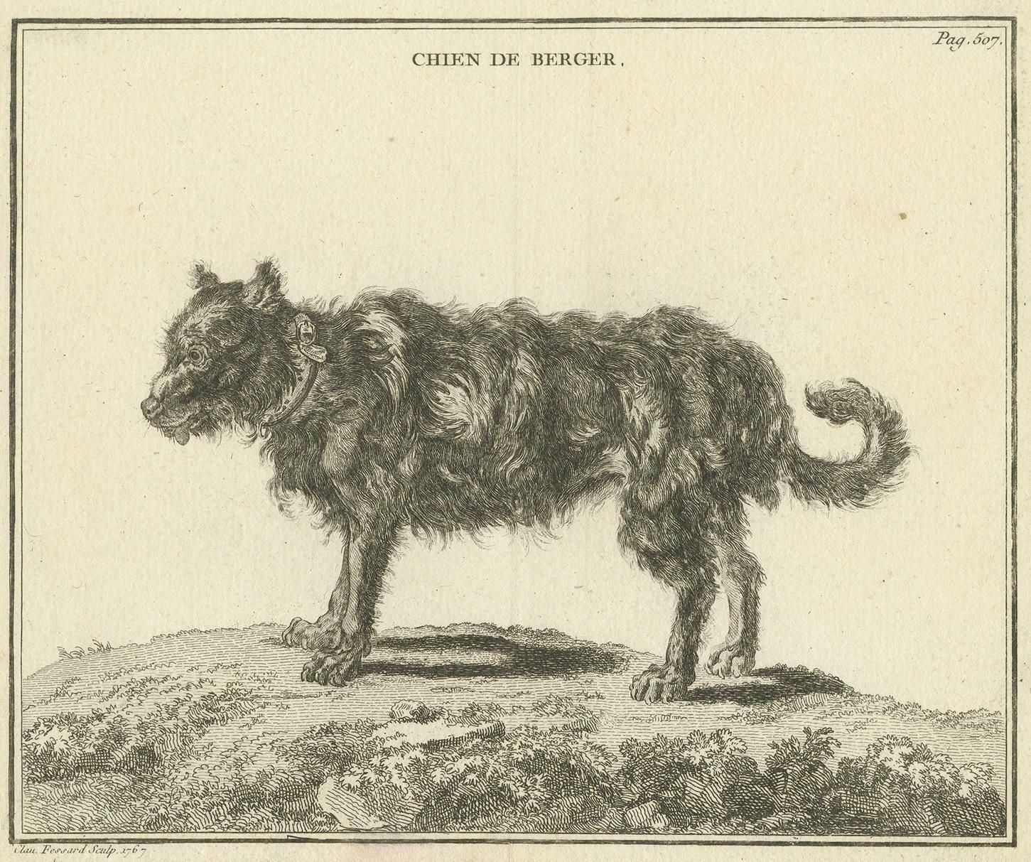 Antique Print Of A Sheepdog By Fessard, 1819 photo furniture