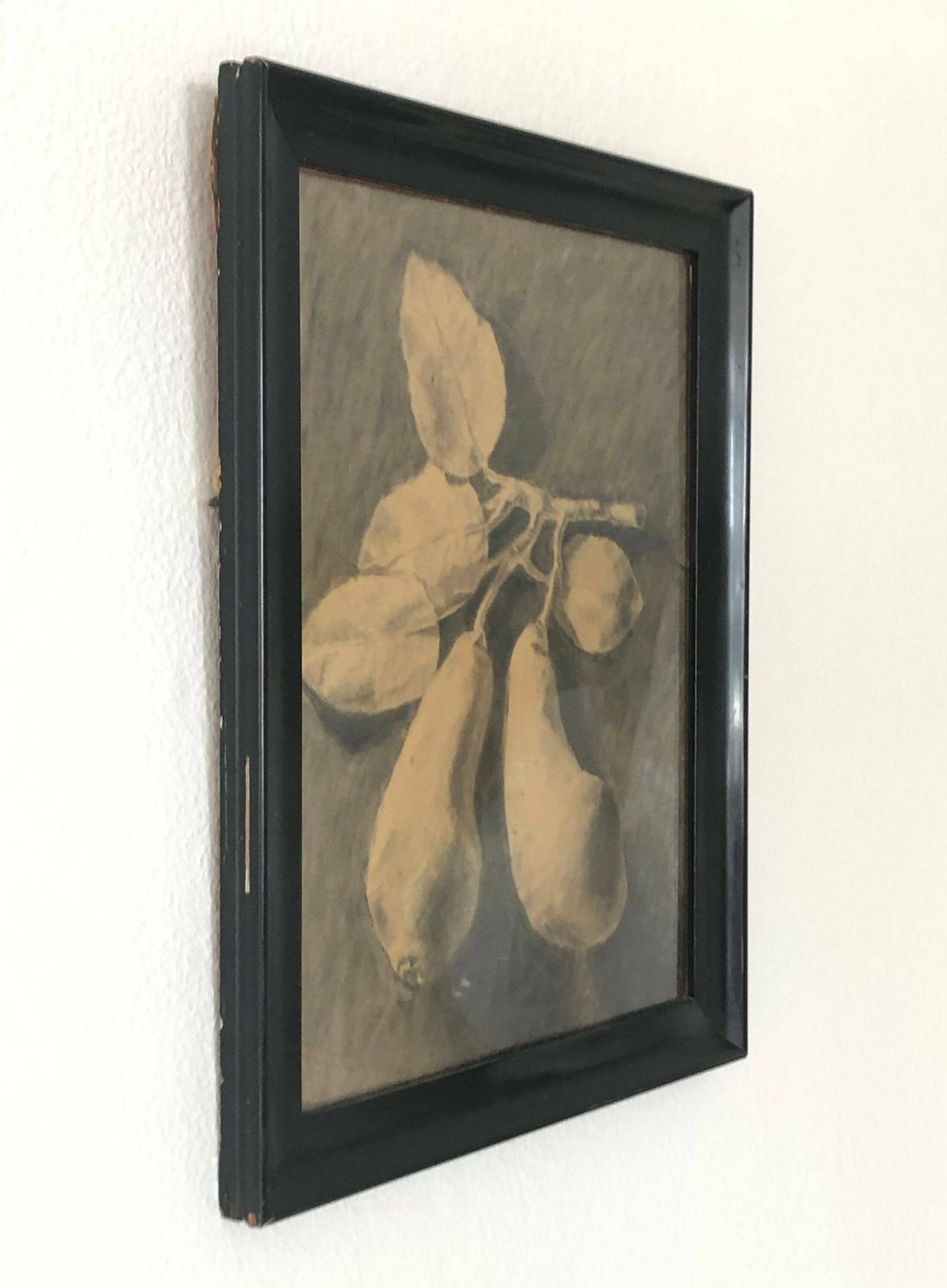 Original Danish Vintage Drawing In Black And White With Still Life Motive Of Fruit On Branch With Leaves photo furniture