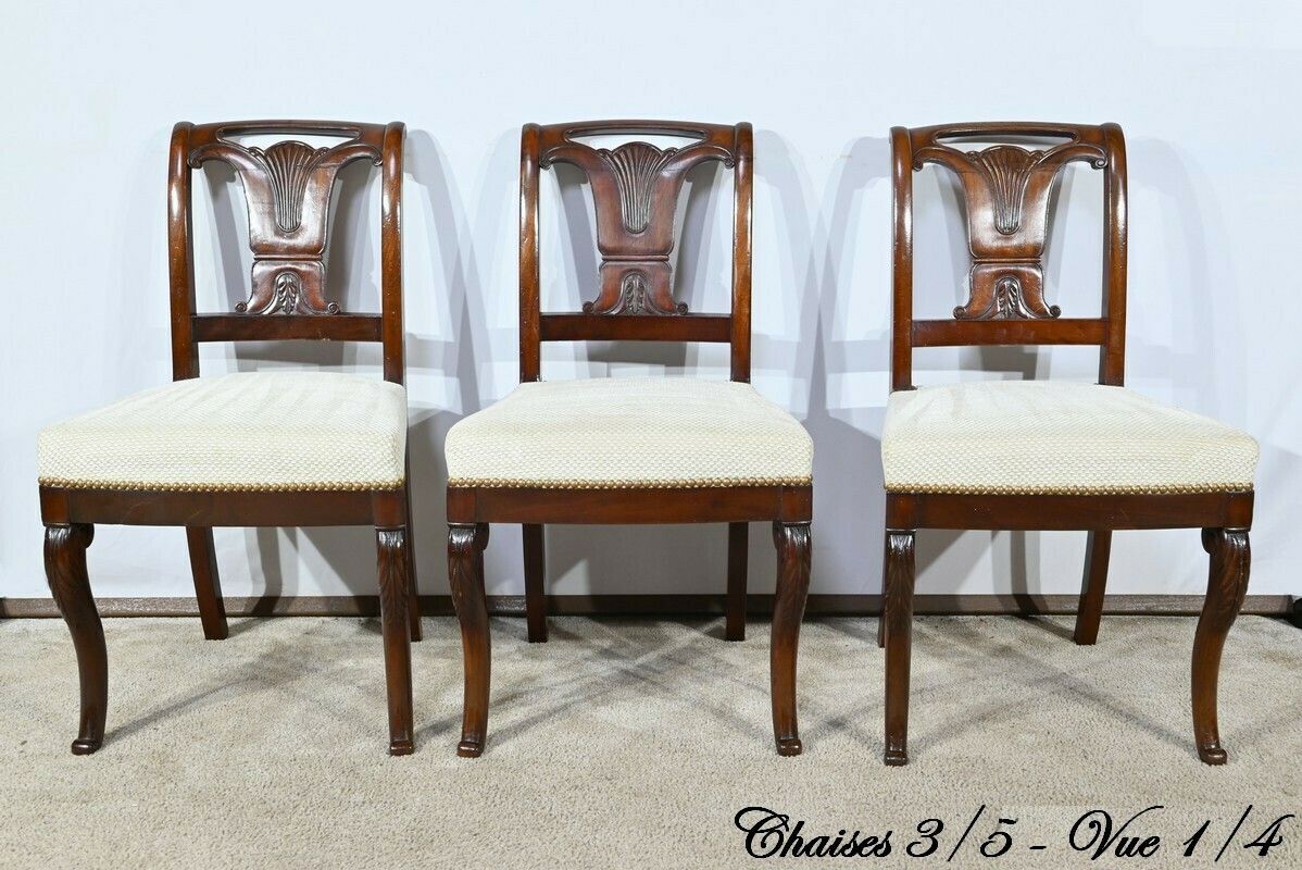 Suite Of 5 Cuban Mahogany Chairs, Restoration Period – Early 19th Century photo Furniture