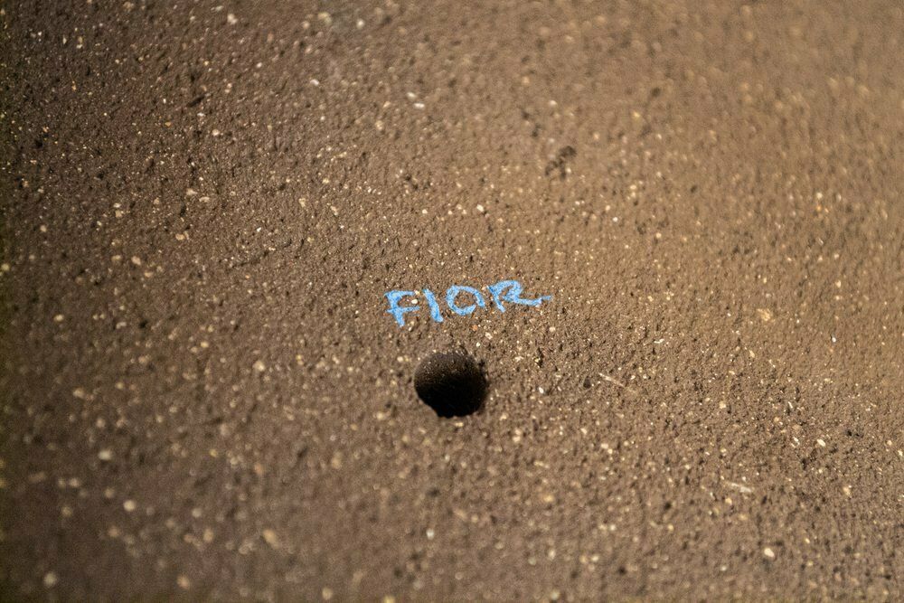 Fior Candido, Modern Sculpture, 1980s, Painted Terracotta photo 2655.0