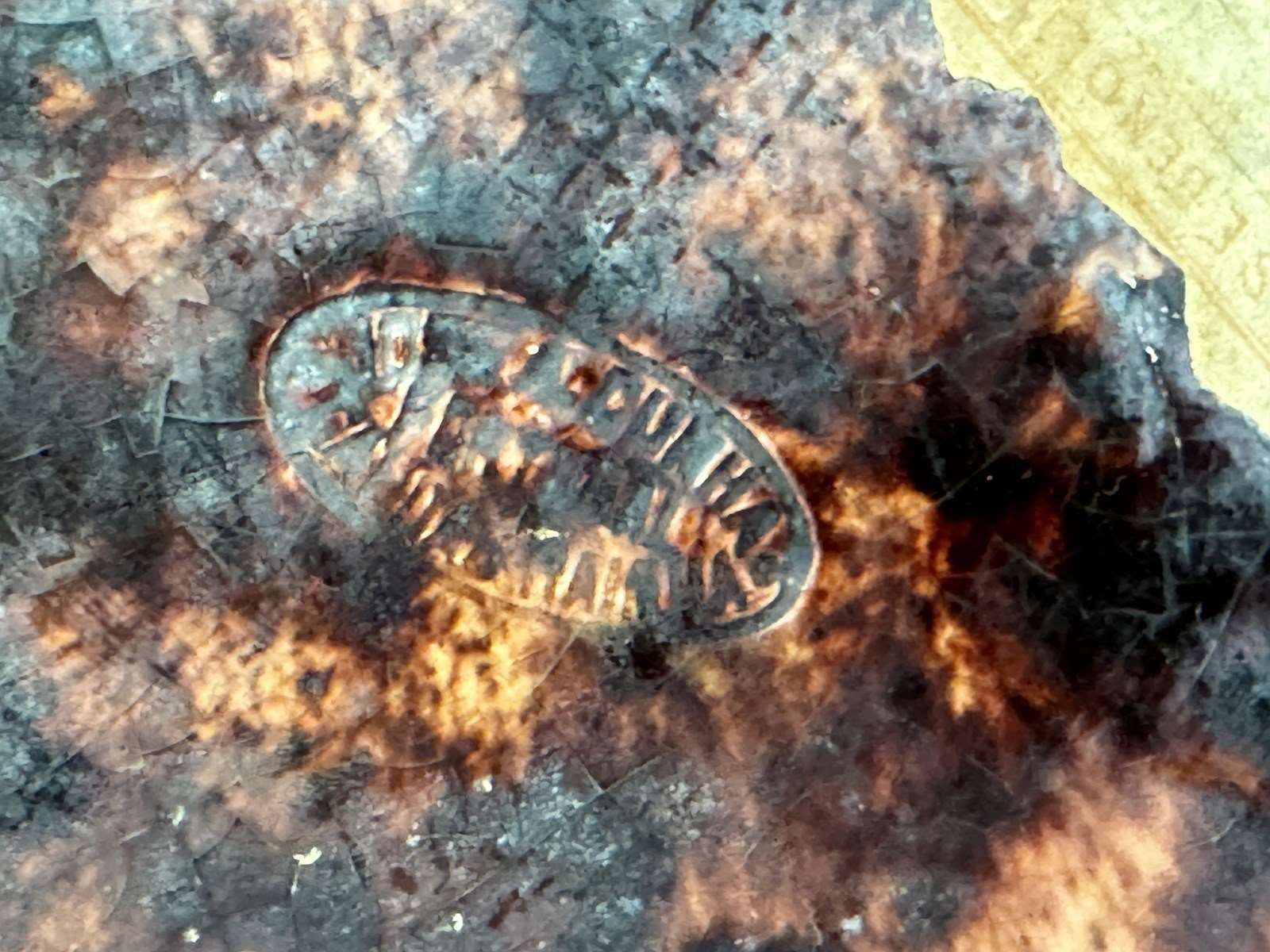 19th Century Portuguese Majolica Dish With Fruit By Jose Alvez Cunah photo 180.0
