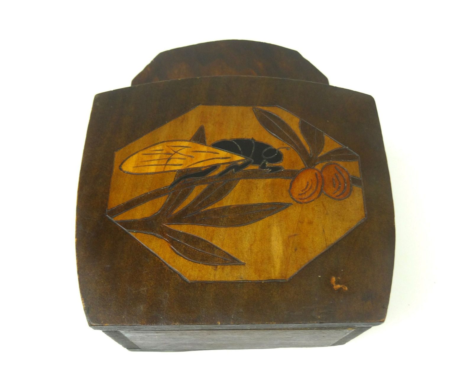 Rare Original Art Deco Antique Insect Wall Storage Box