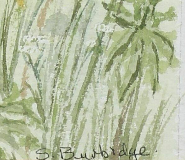 Watercolour By S. Burbidge. The Garden Gate, Binham photo for sale