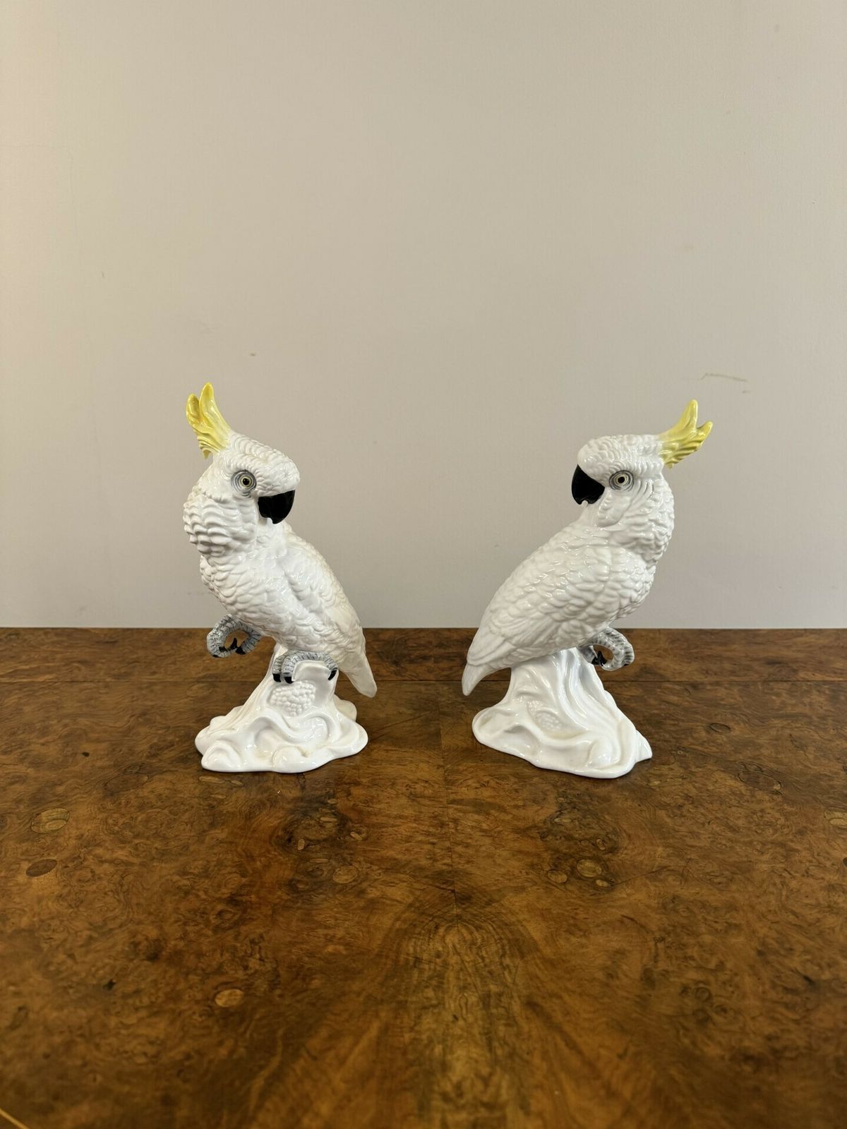 Elegant Pair Of Mid Century Cockatoos By T.J Jones photo Art