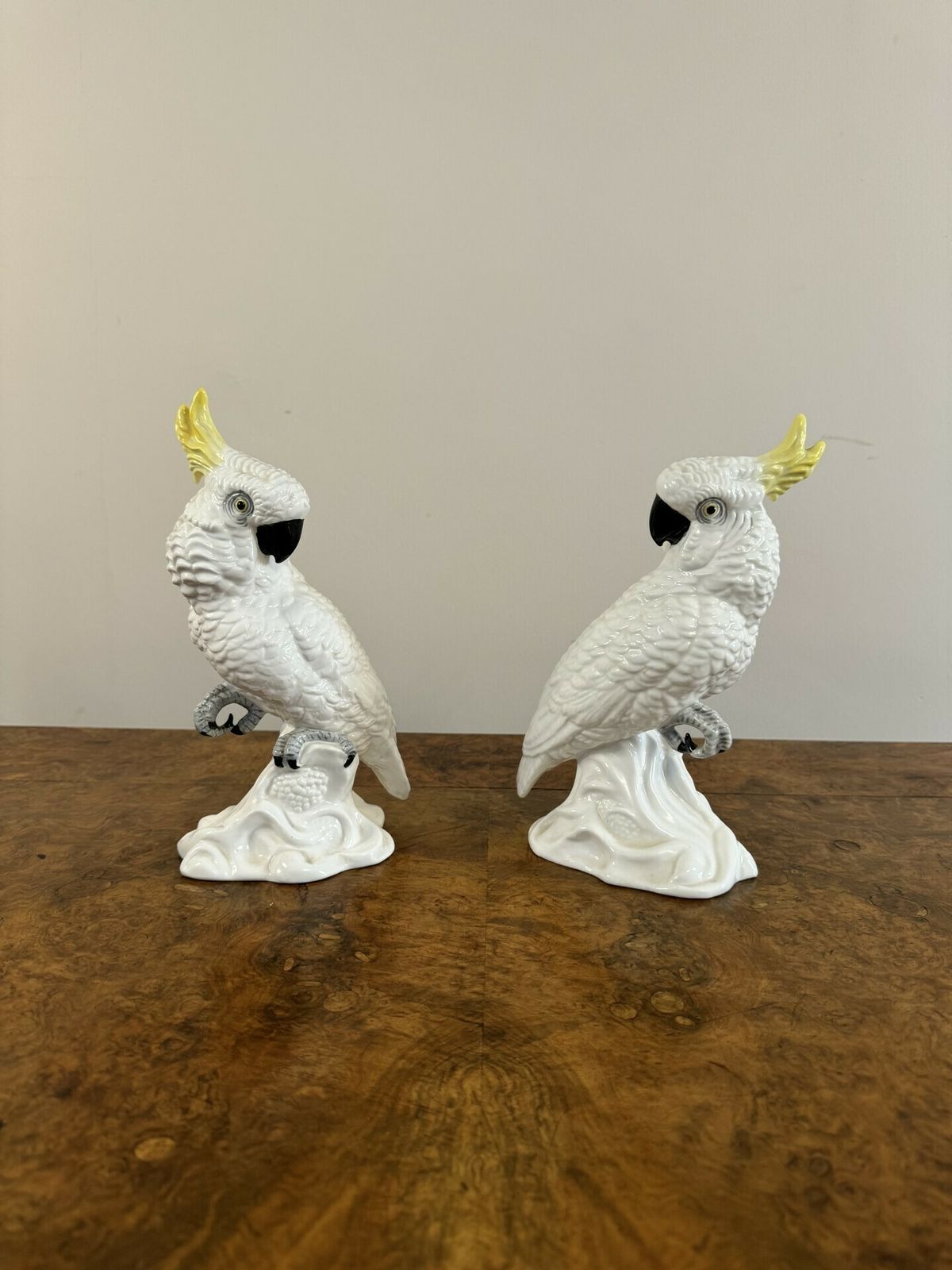 Elegant Pair Of Mid Century Cockatoos By T.J Jones photo 1125.0
