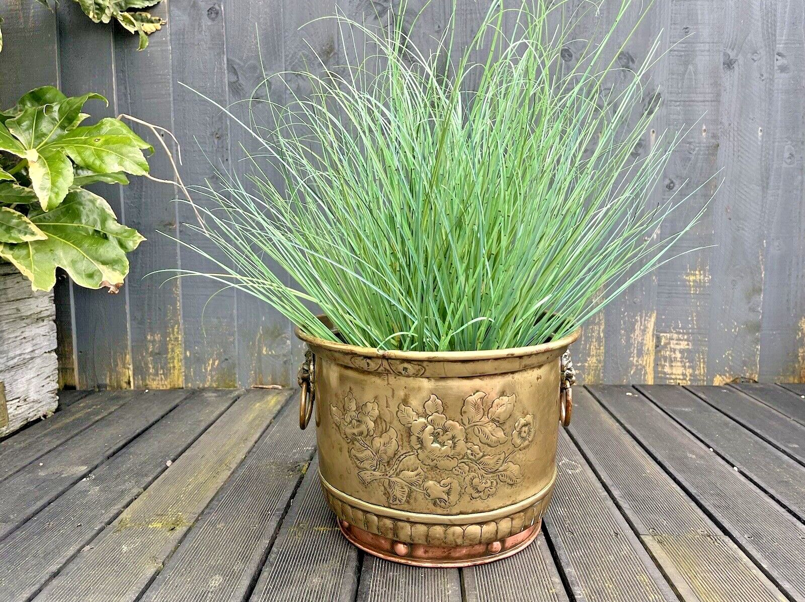 Antique Armorial Brass Copper Jardiniere Plant Pot Lion Head Handles Ice Bucket photo Home Decor