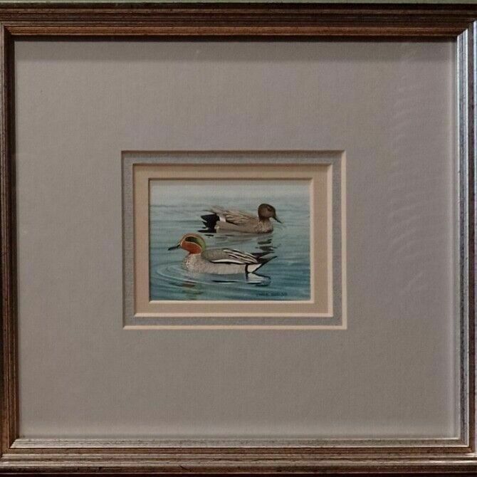 Ornithology Collection Of Signed Paintings By Chris Shields X 7 Framed Vary Size photo vintage