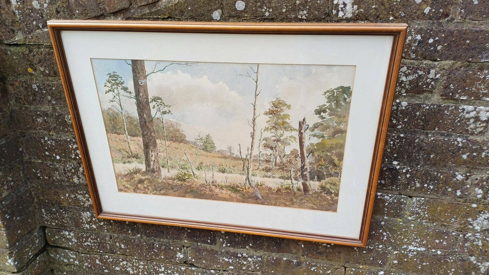 Large Original Vintage Watercolour Of A Country Scene, Woodland, Moorland, Forest   Ashdown Forest Possibly, Cuckoos, Mounted, Glazed Framed