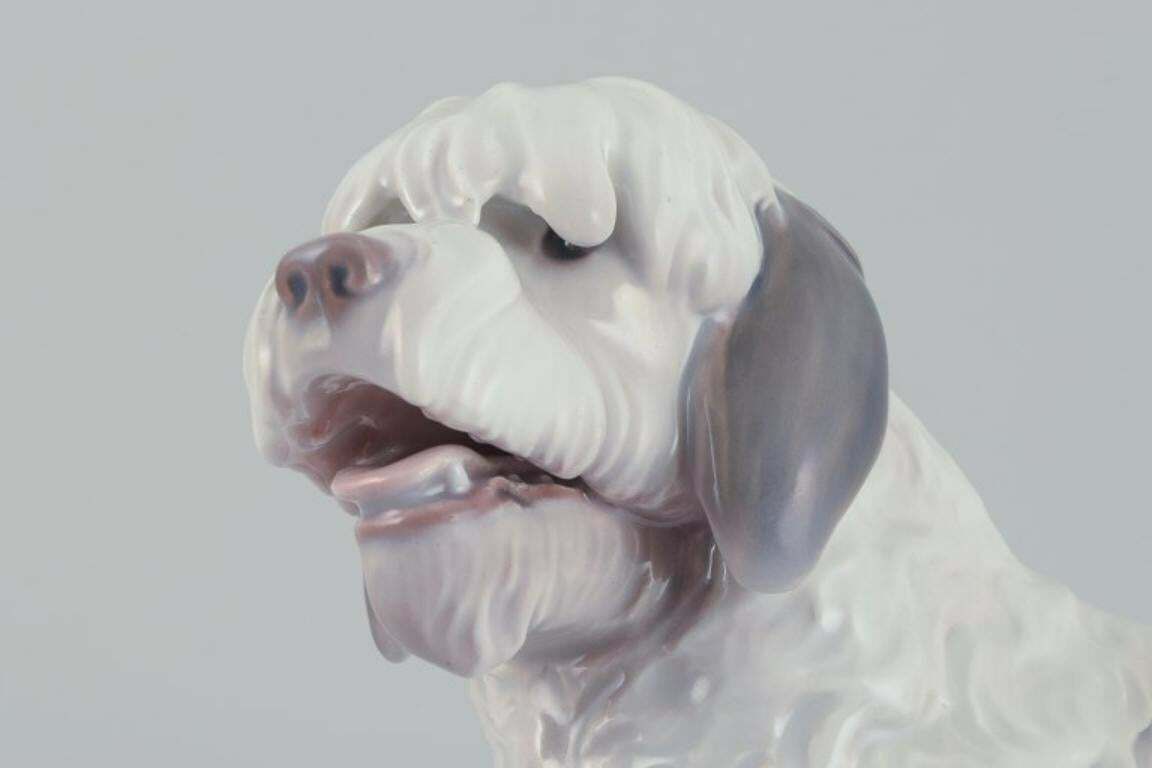 Bing & Grøndahl, Rare Porcelain Figurine Of English Sheepdog. 1920s/30s. photo 732.0