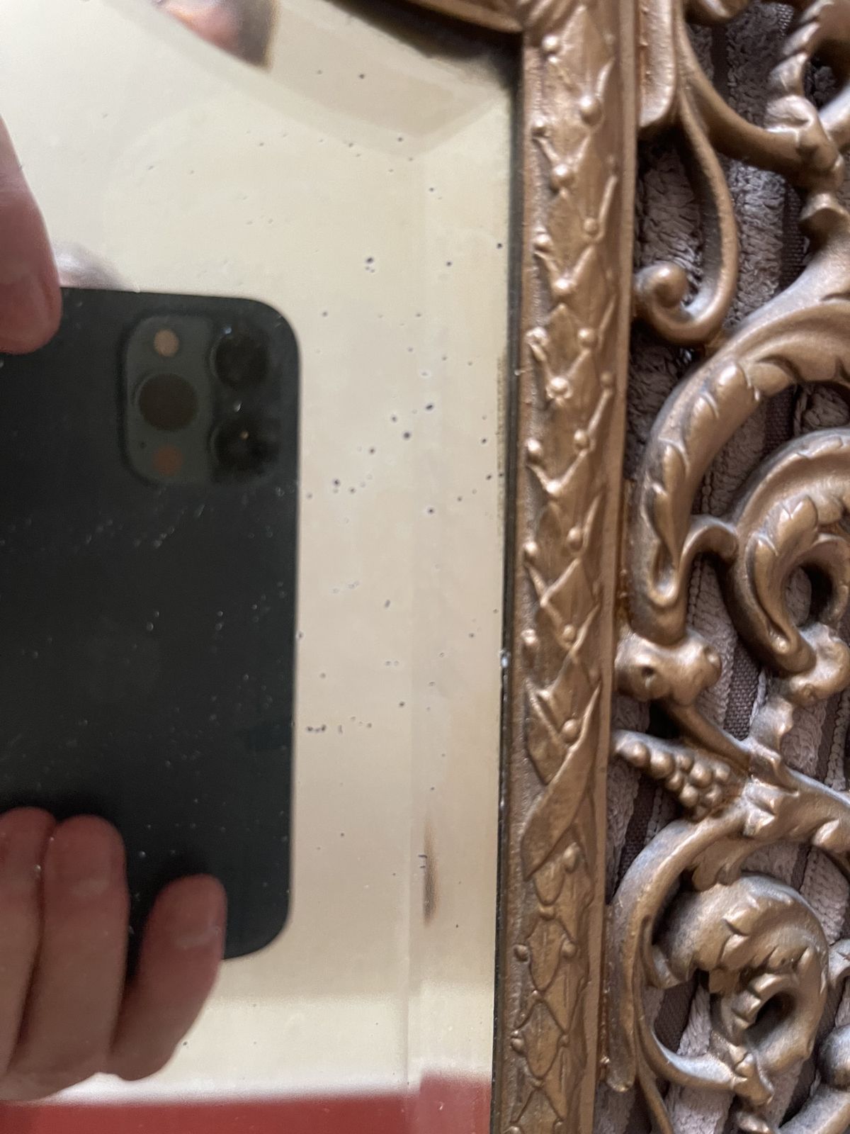 Gothic Bevelled Mirror With Gilded Frame And Bacchus Head Crest photo vinterior
