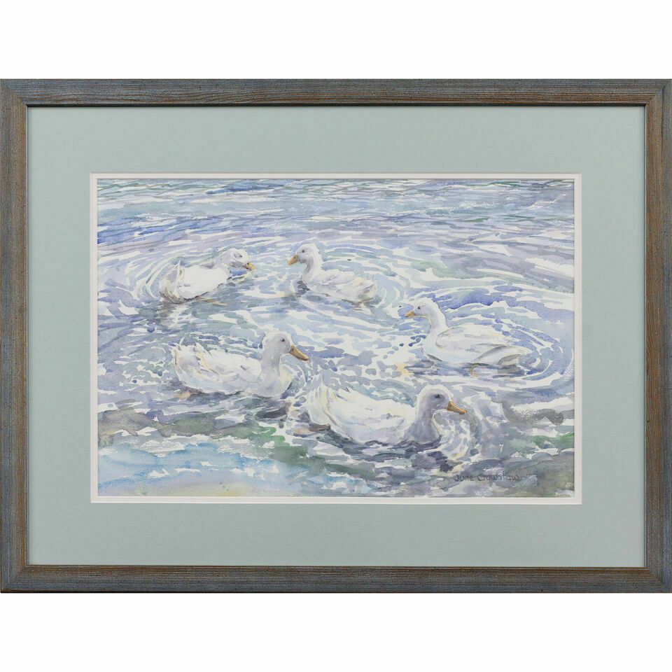 Watercolour By June Crawshaw. Titled "Just Swimming Around"