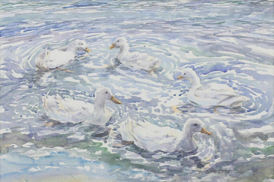 Watercolour By June Crawshaw. Titled "Just Swimming Around" photo furniture