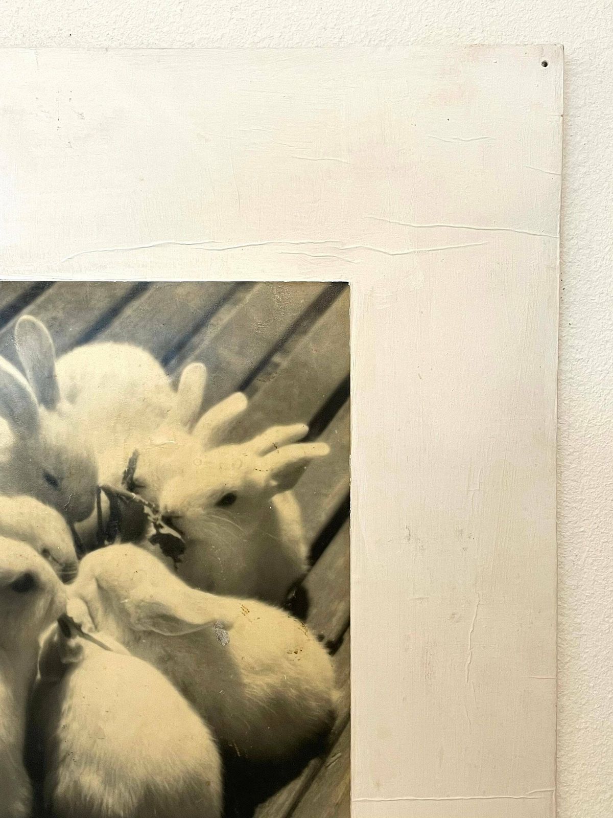 Danish Vintage Mid Century Fine Art Photography From The 1940’s “Jubilæumsbanket” By Aage Lillesøe photo vinterior
