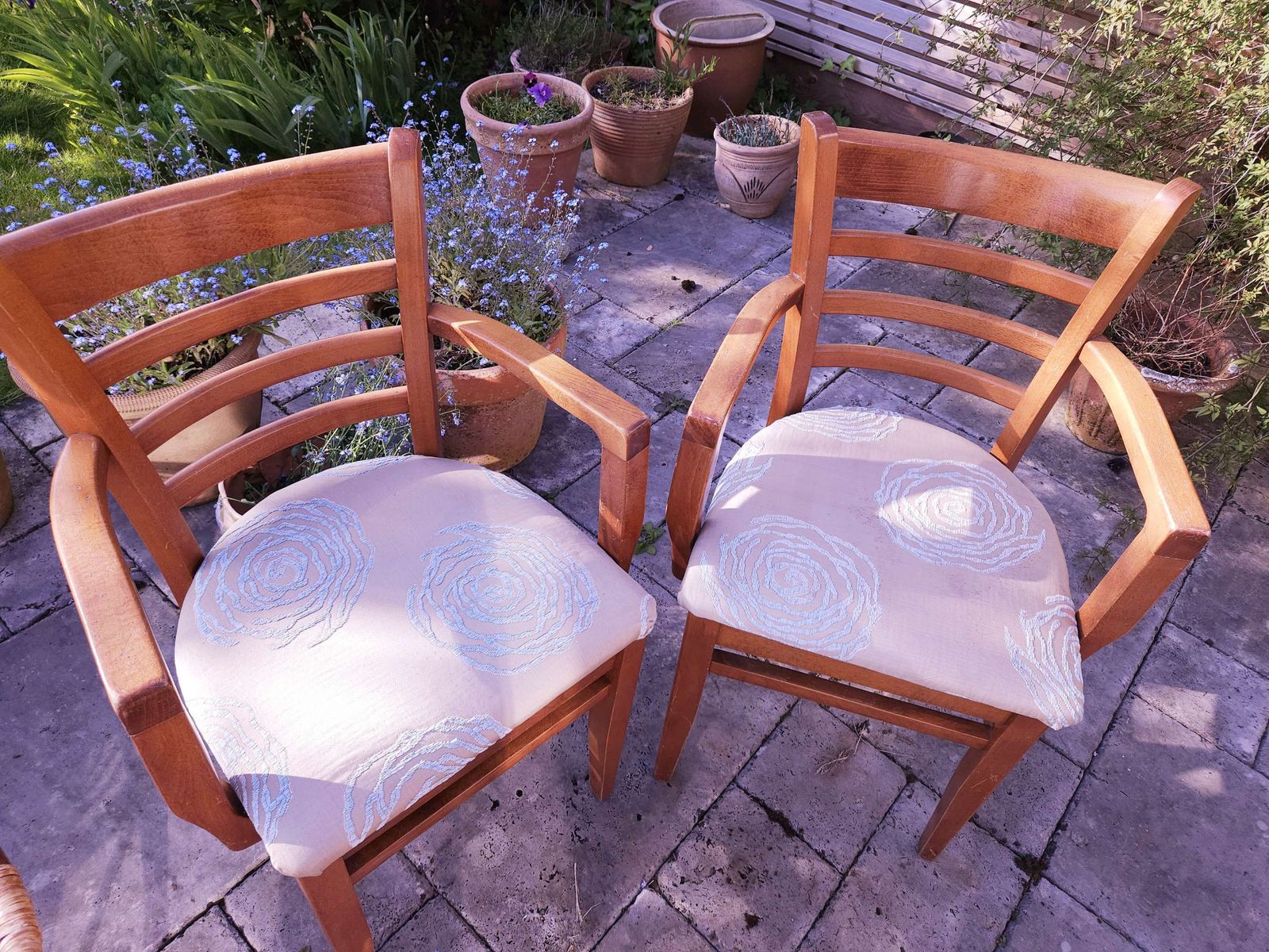 Superb Pair Of Bentwood Mid Century Carver Style Chairs With Original Fmg Label photo vintage