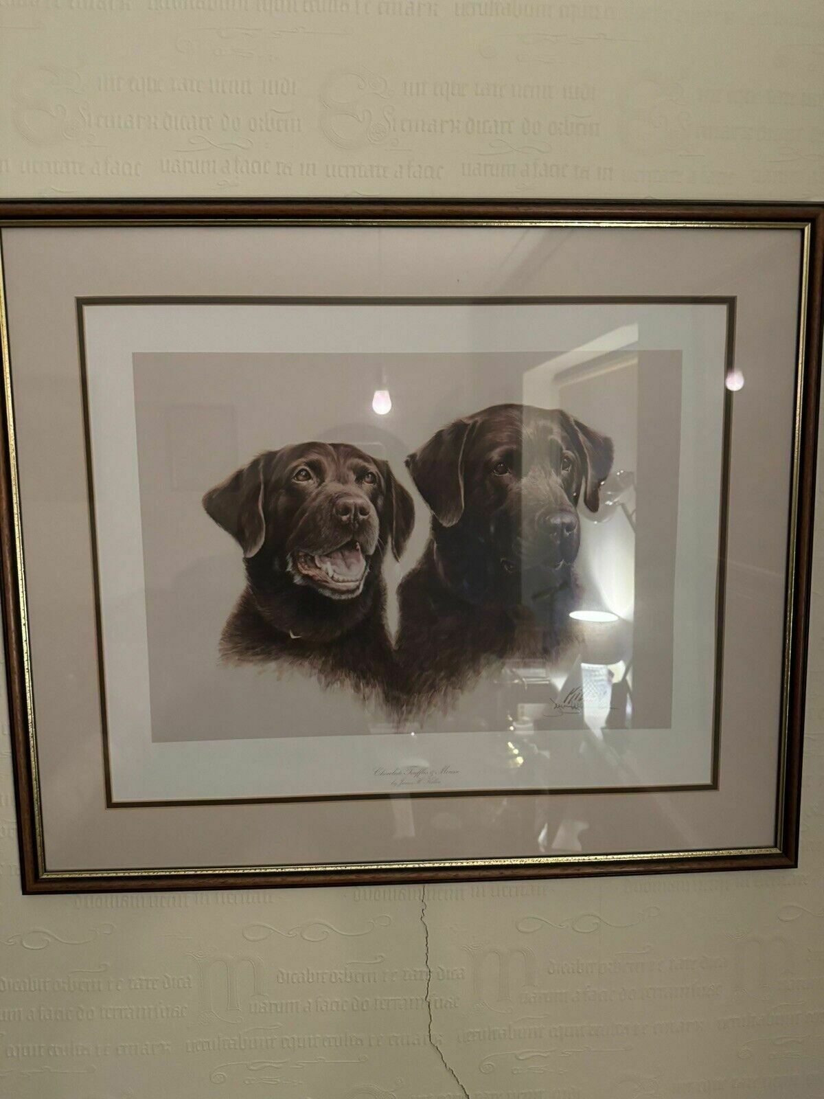Signed Collector's Edition Chocolate Labrador &Mousse Jim Killen 661/950