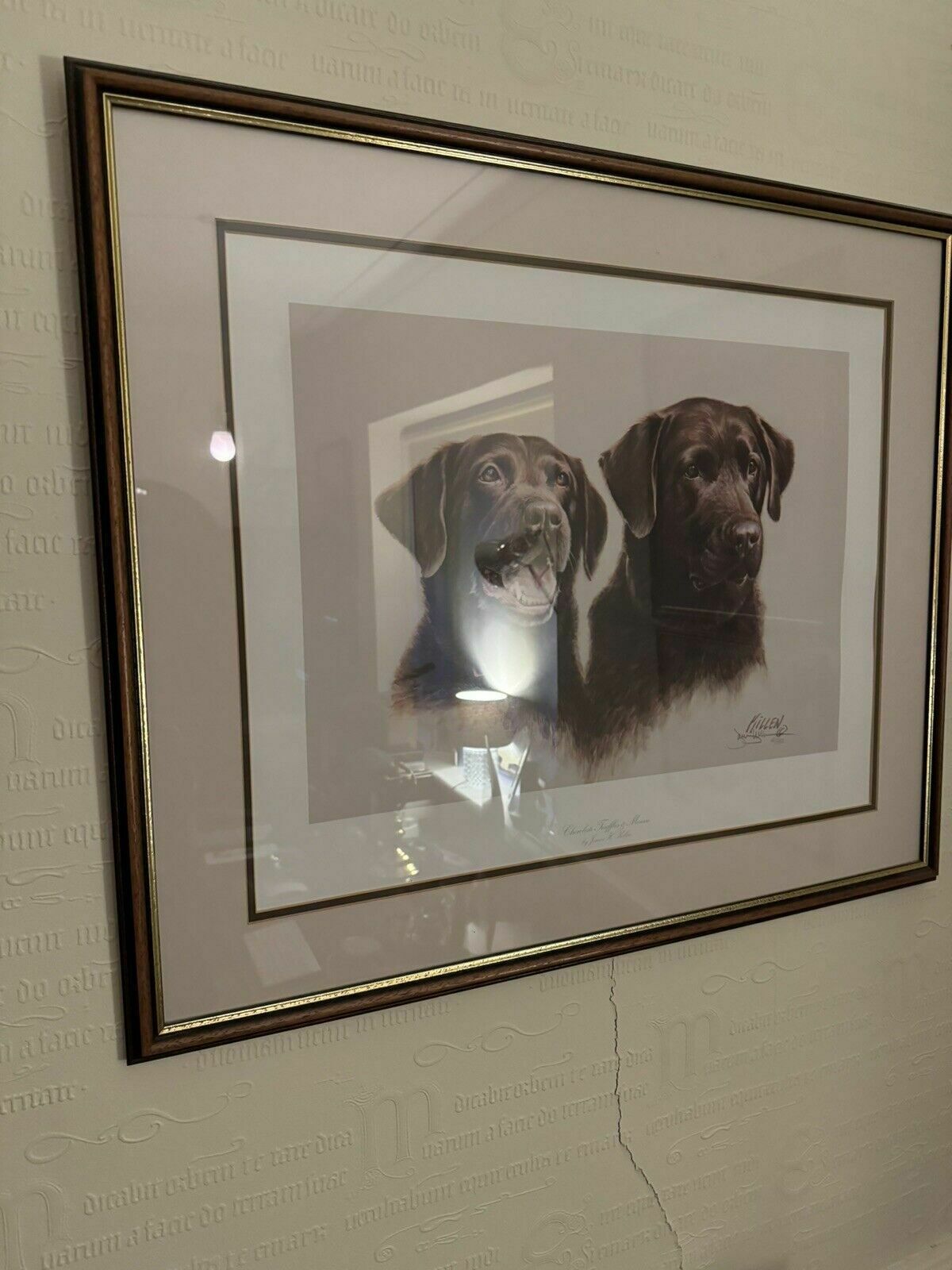 Signed Collector's Edition Chocolate Labrador &Mousse Jim Killen 661/950 photo for sale