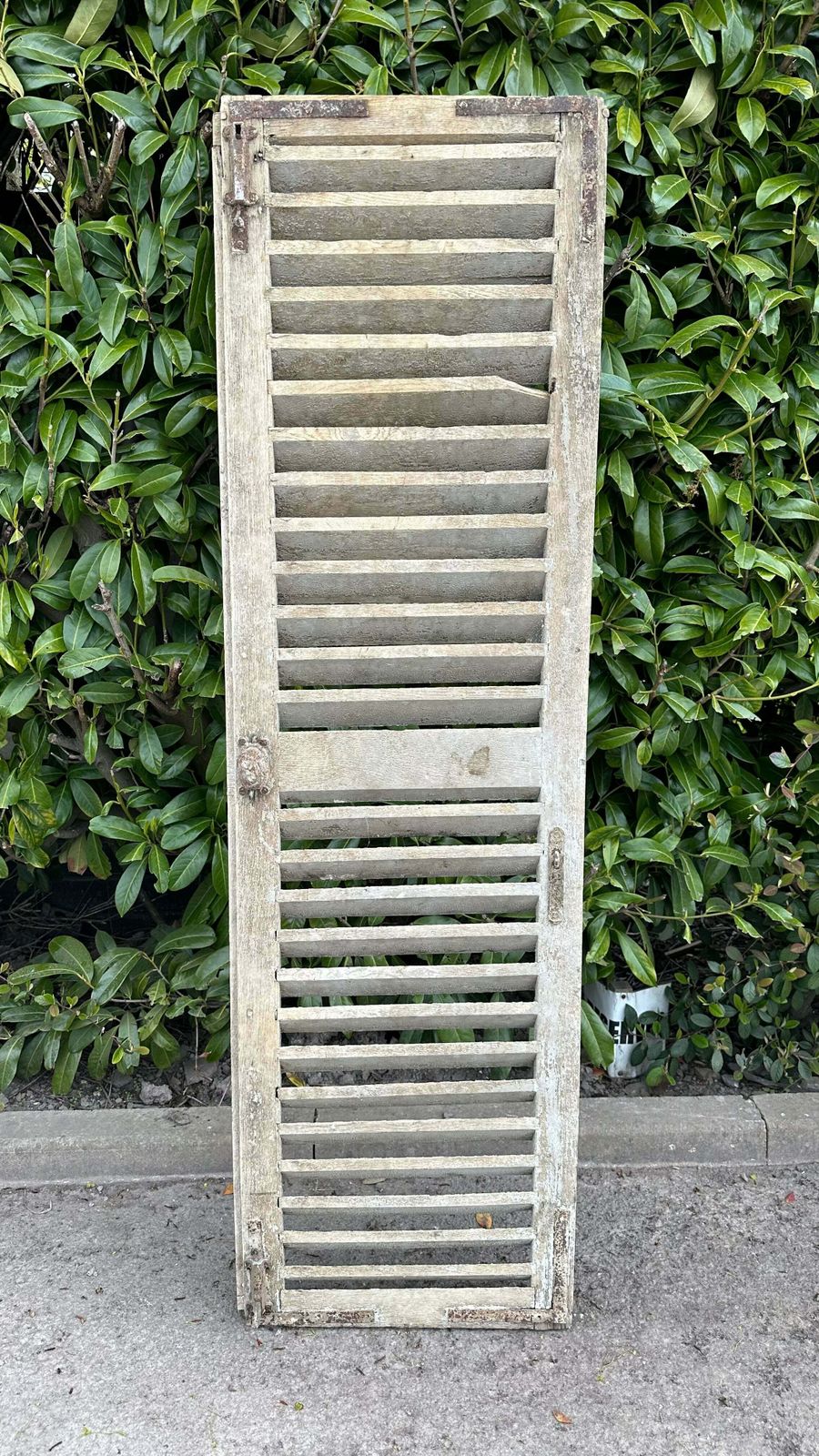 photo furniture Fabulous Patina Antique French Louvred Window Shutter (1) Original Handle & Very Fine Hinges