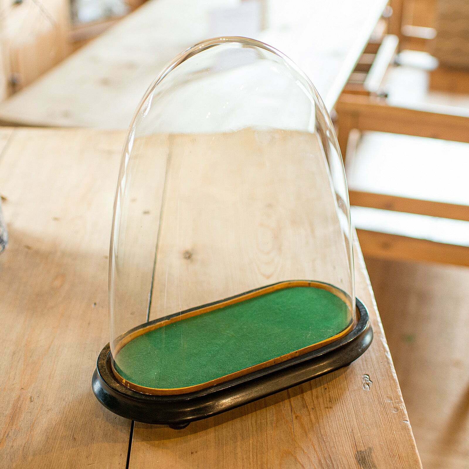 Antique Ovoid Clock Dome, English, Glass, Taxidermy Display Showcase, Victorian photo vintage