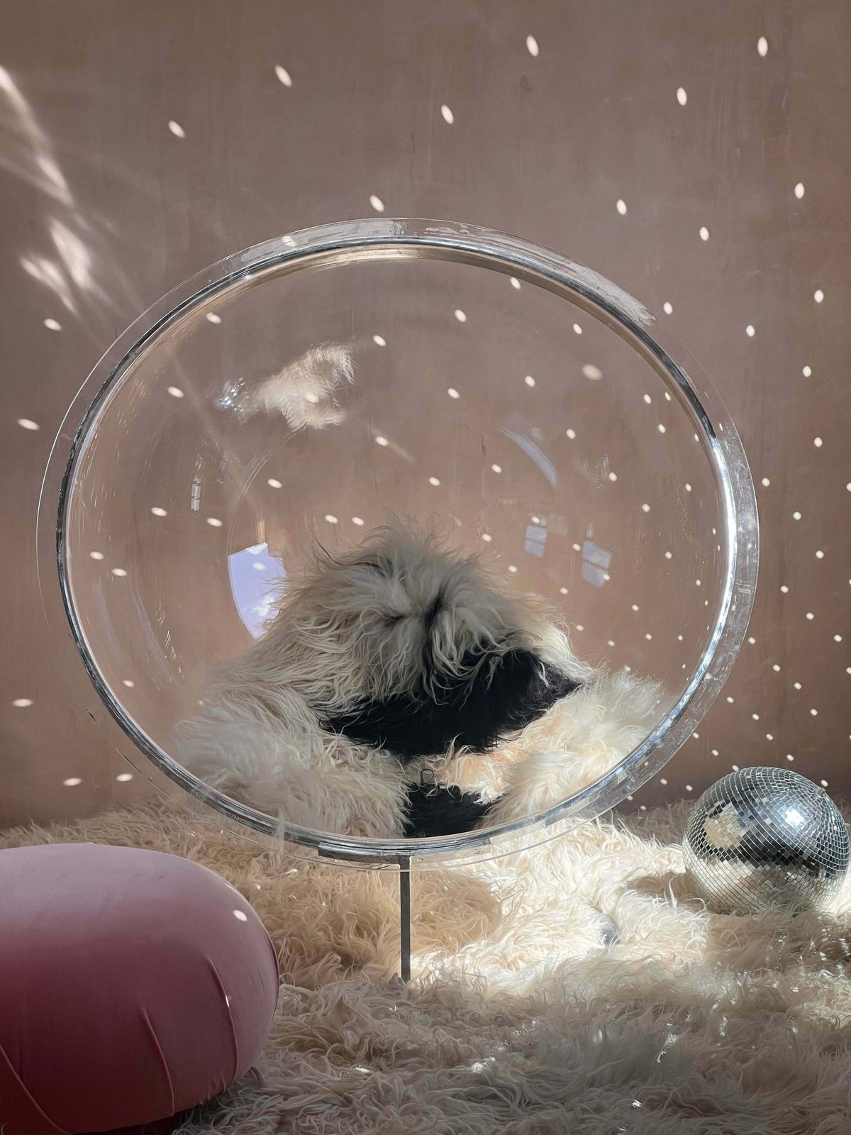 Christian Daninos Bubble Chair C1960 photo furniture