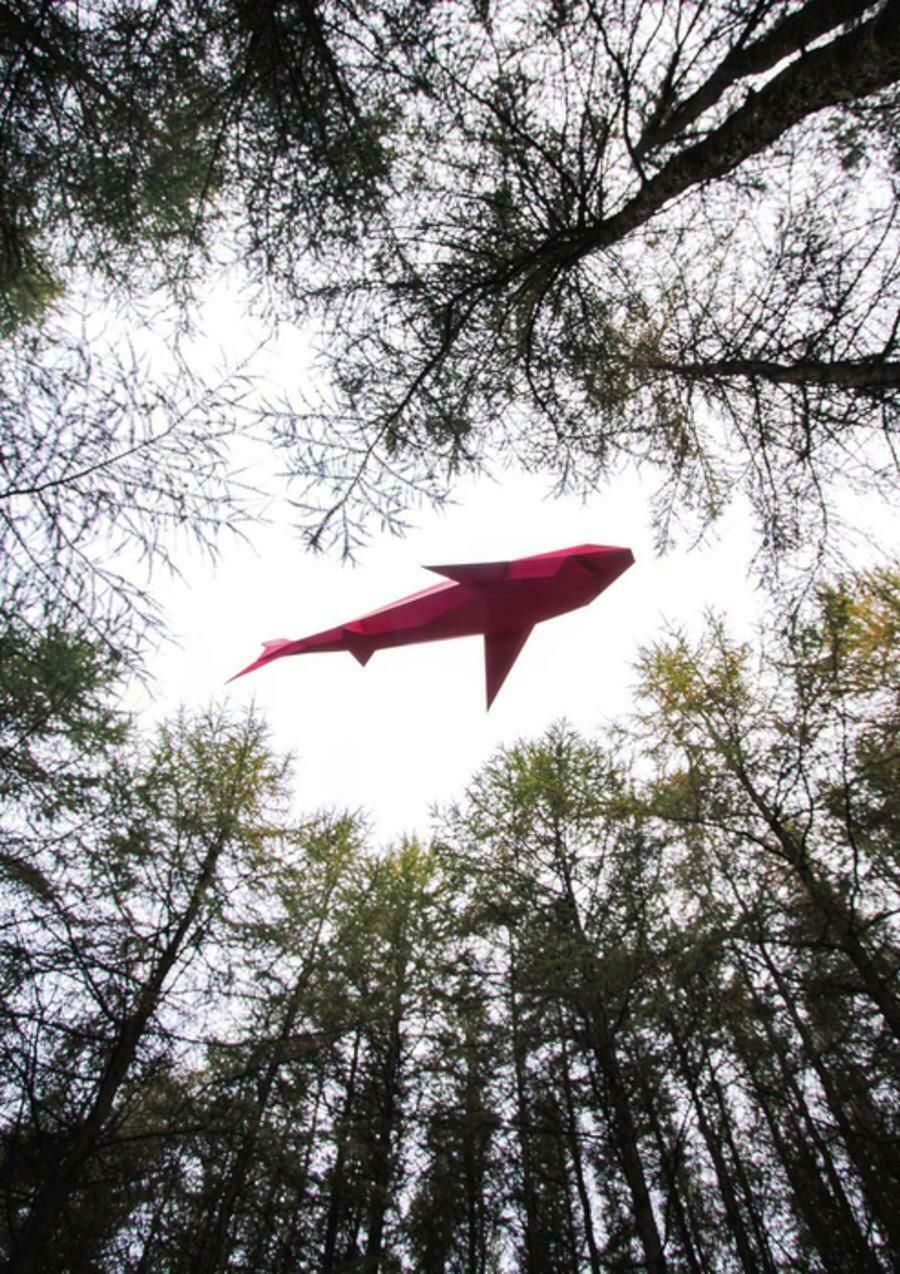 Liam Hopkins Liam Hopkins, Flying Shark 01