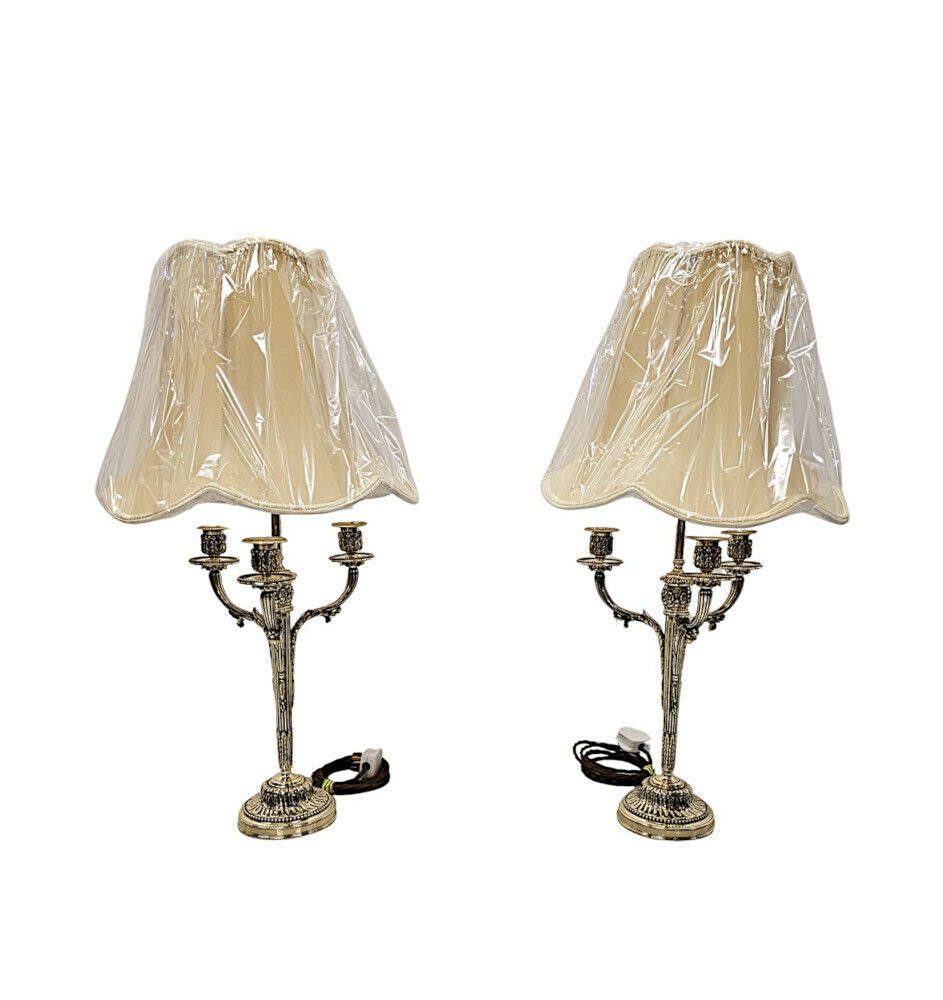 A Very Fine Pair Of 19th Century Candelabra Converted To Table Lamps photo 2214.5676