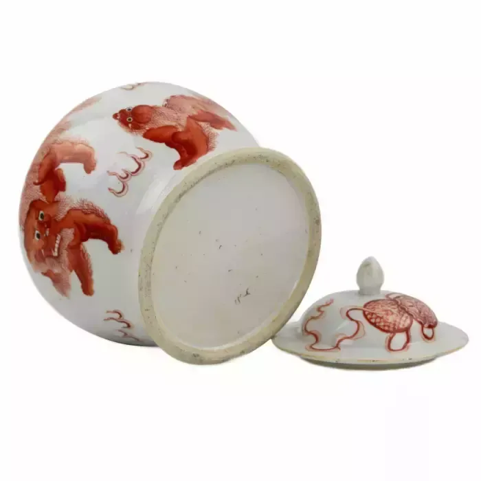Chinese Porcelain Vase, Painted “Iron Red” Overglaze Dog Fo. Possibly Kangxi Period. photo Home Decor
