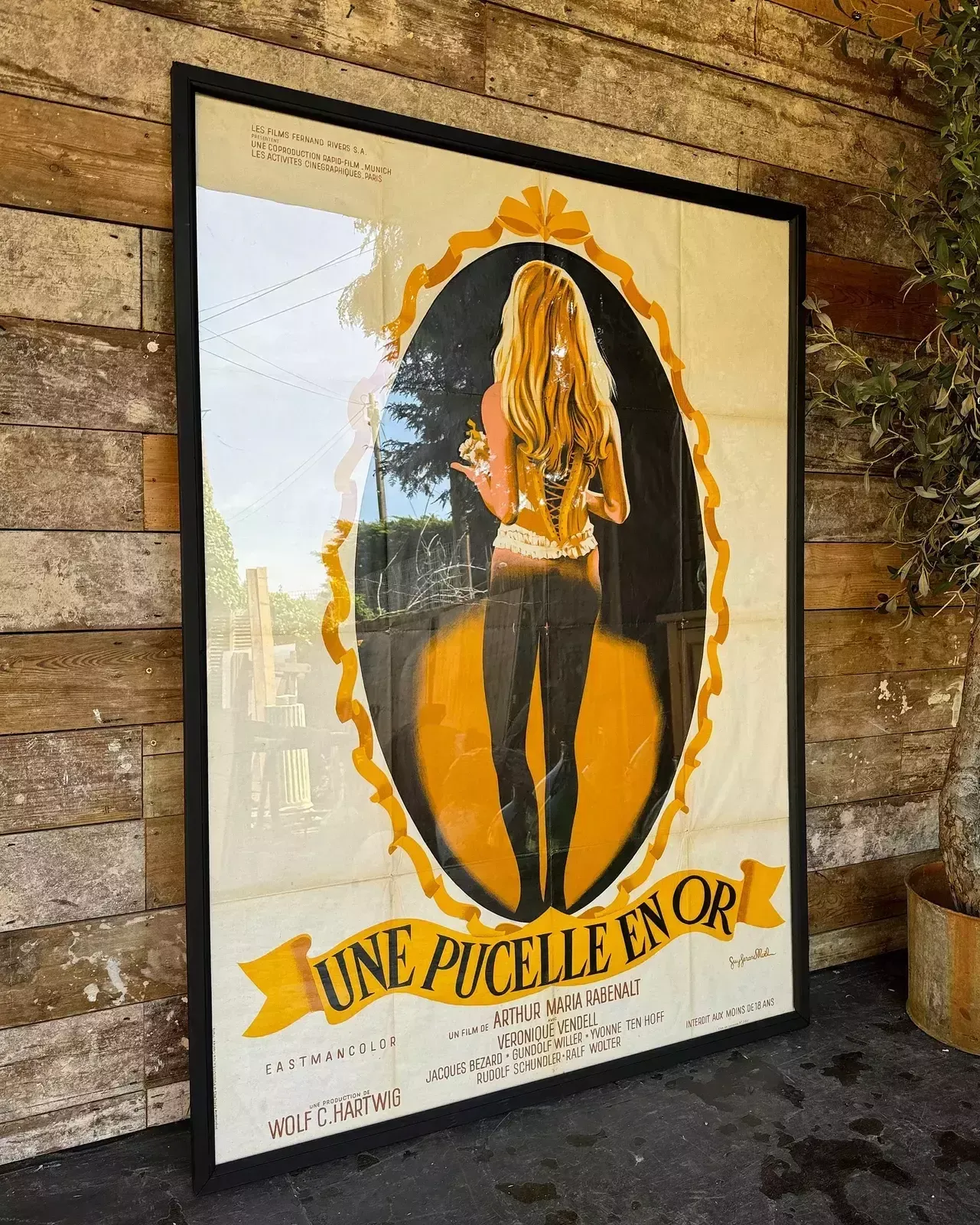 Fabulous Vintage French Framed Film Poster
