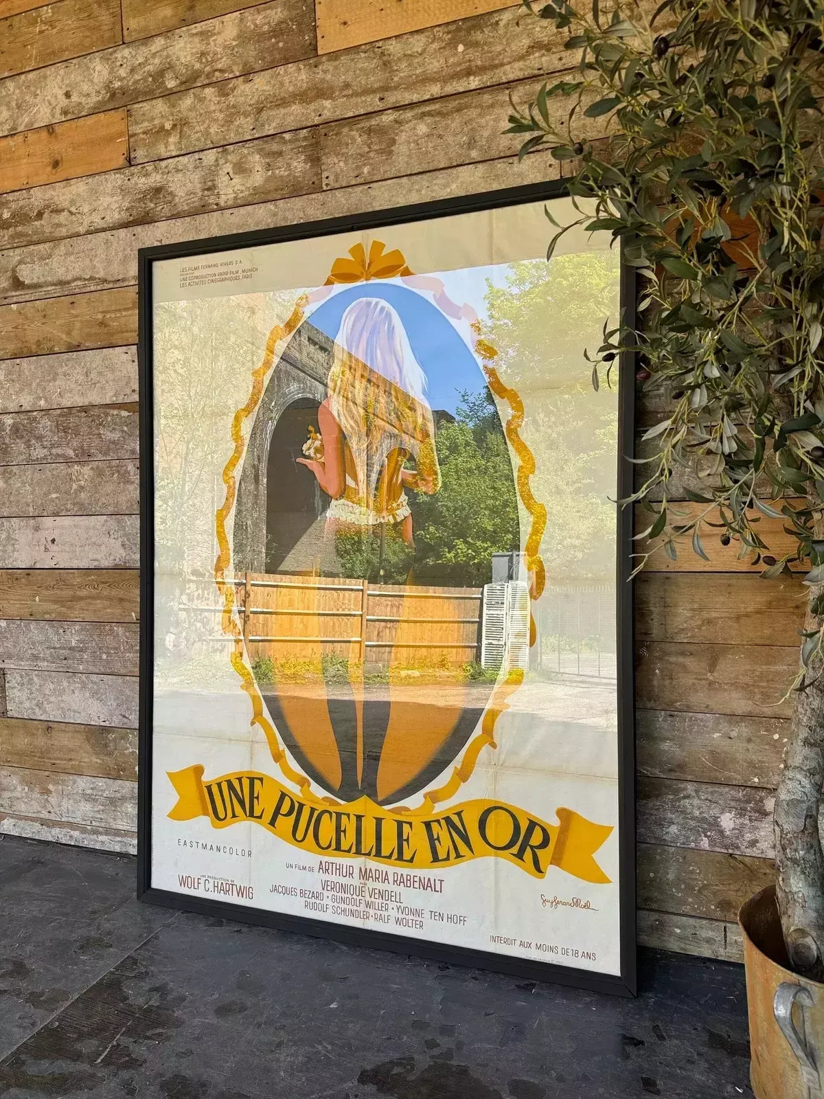 photo for sale Fabulous Vintage French Framed Film Poster
