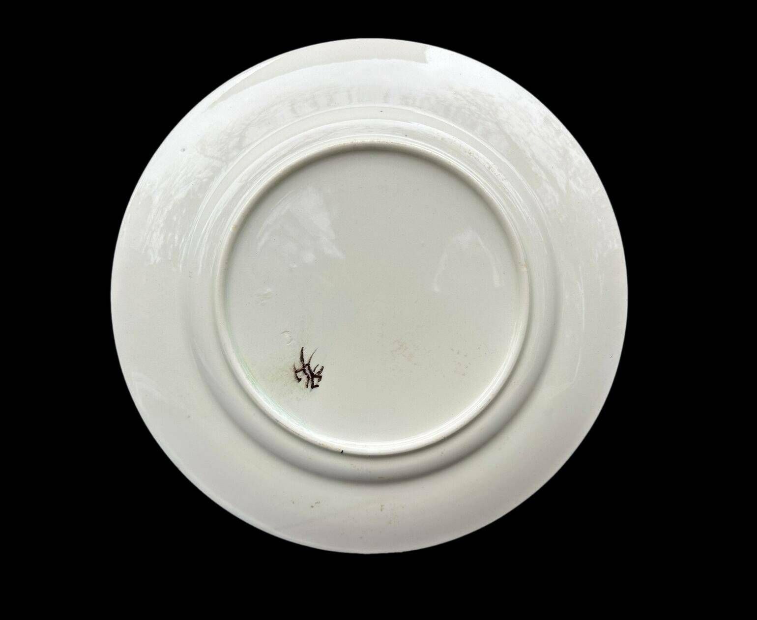 Luneville Keller & Guerin Rare French Antique Bird Enamel Plate 19th photo vintage