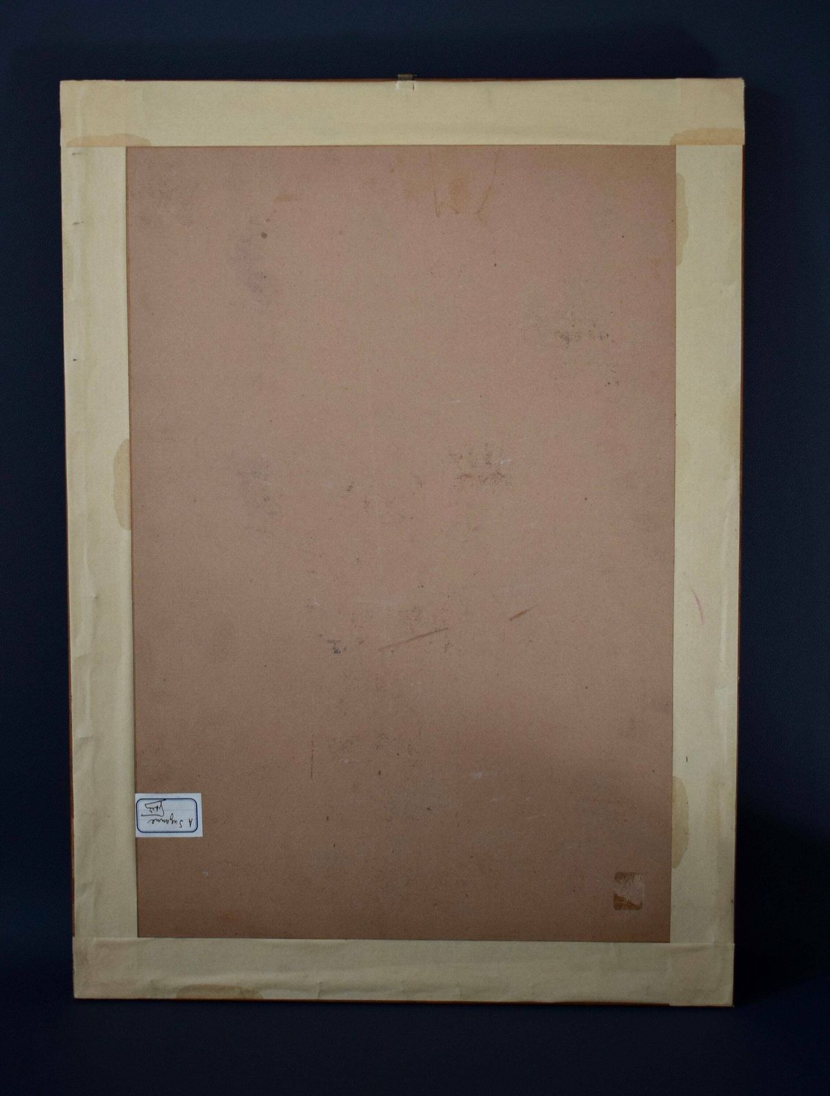 photo for sale 1920's Vintage Wall Hunt Trophy Drawing Game Bird With Genuine Feather
