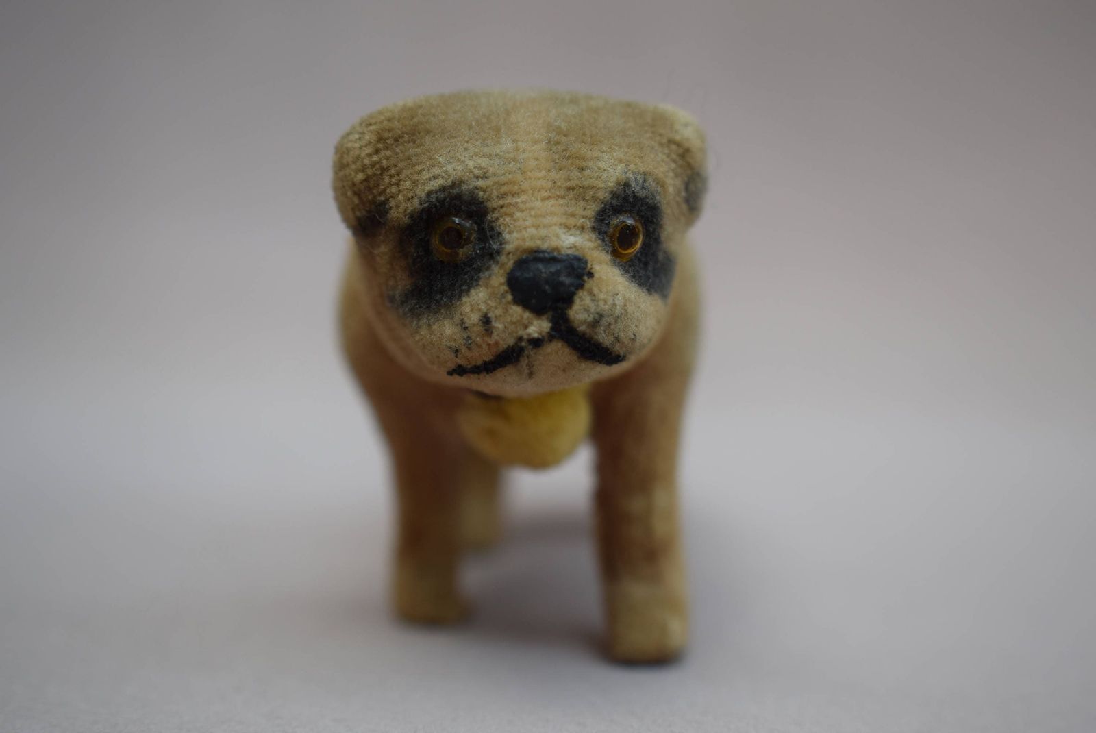 Antique Pug Carlin Putz Dog, 1910s photo for sale