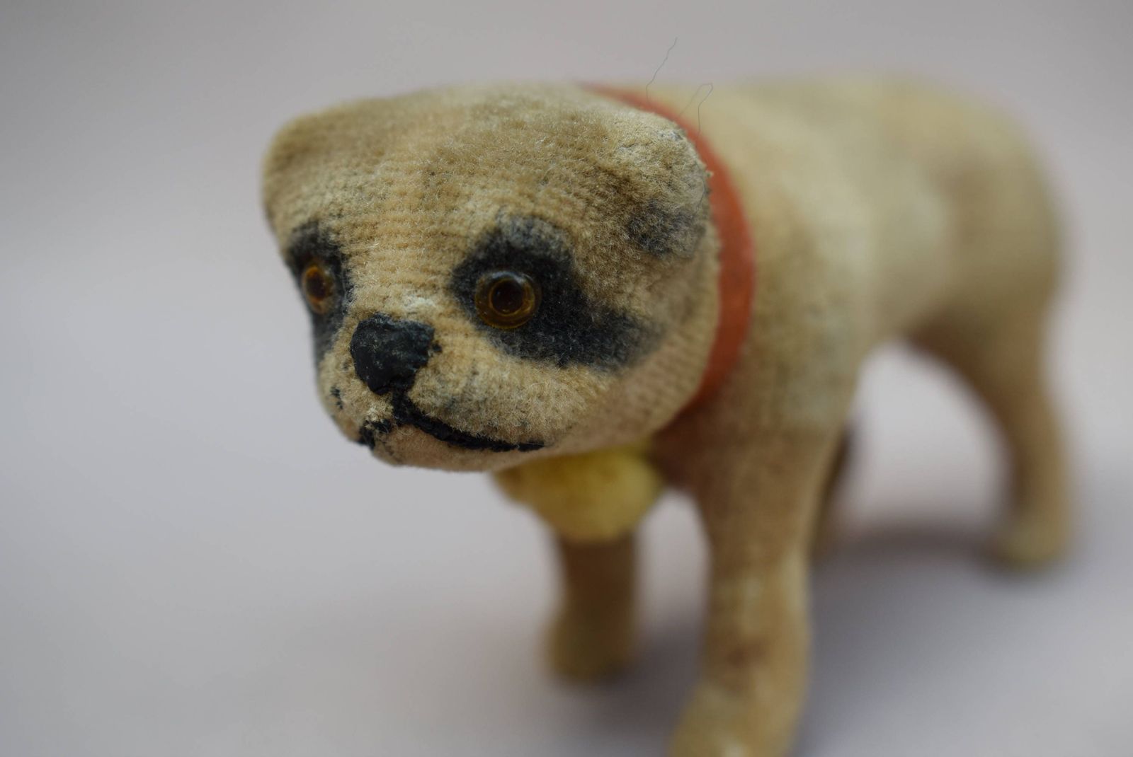 Antique Pug Carlin Putz Dog, 1910s photo buy