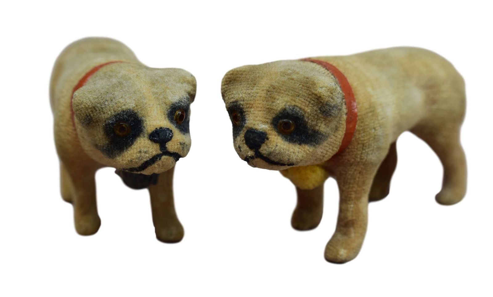photo for sale Antique Pug Carlin Putz Dog, 1910s